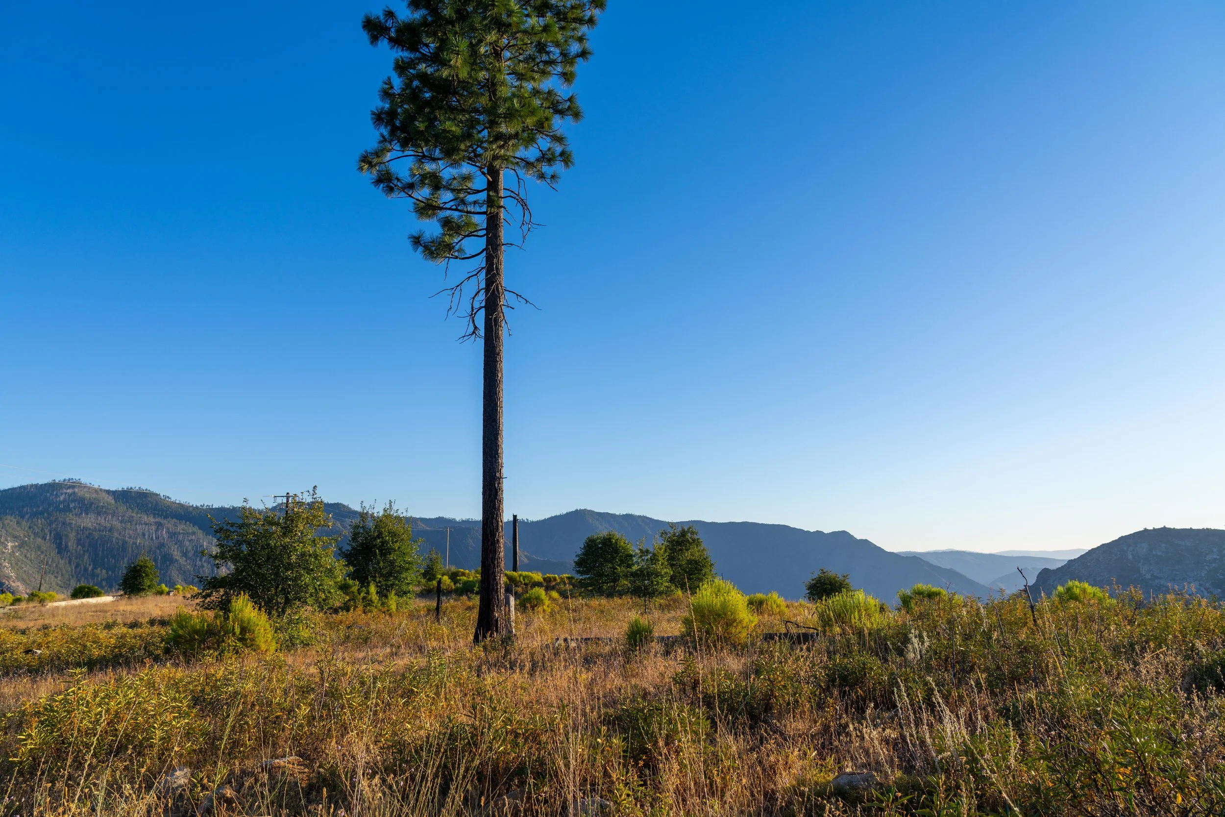 Yosemite-064.jpg