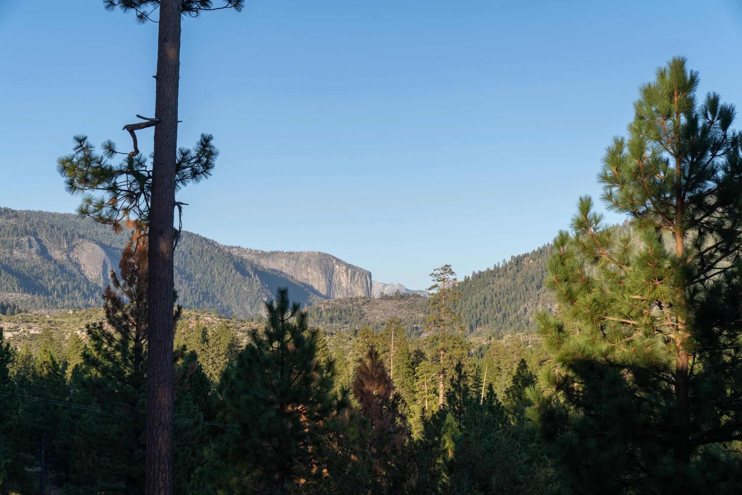 Yosemite-075.jpg