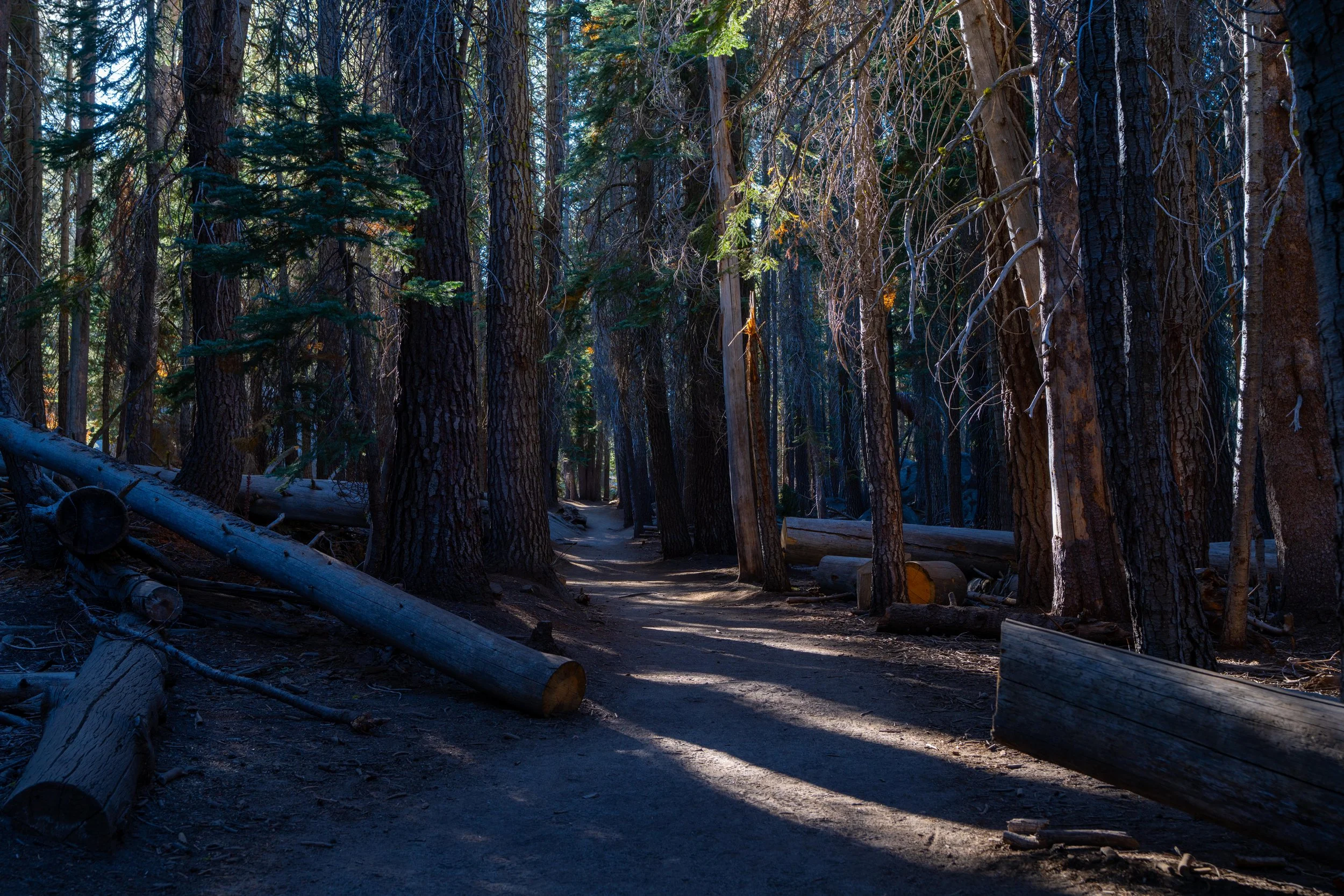 Yosemite-111.jpg