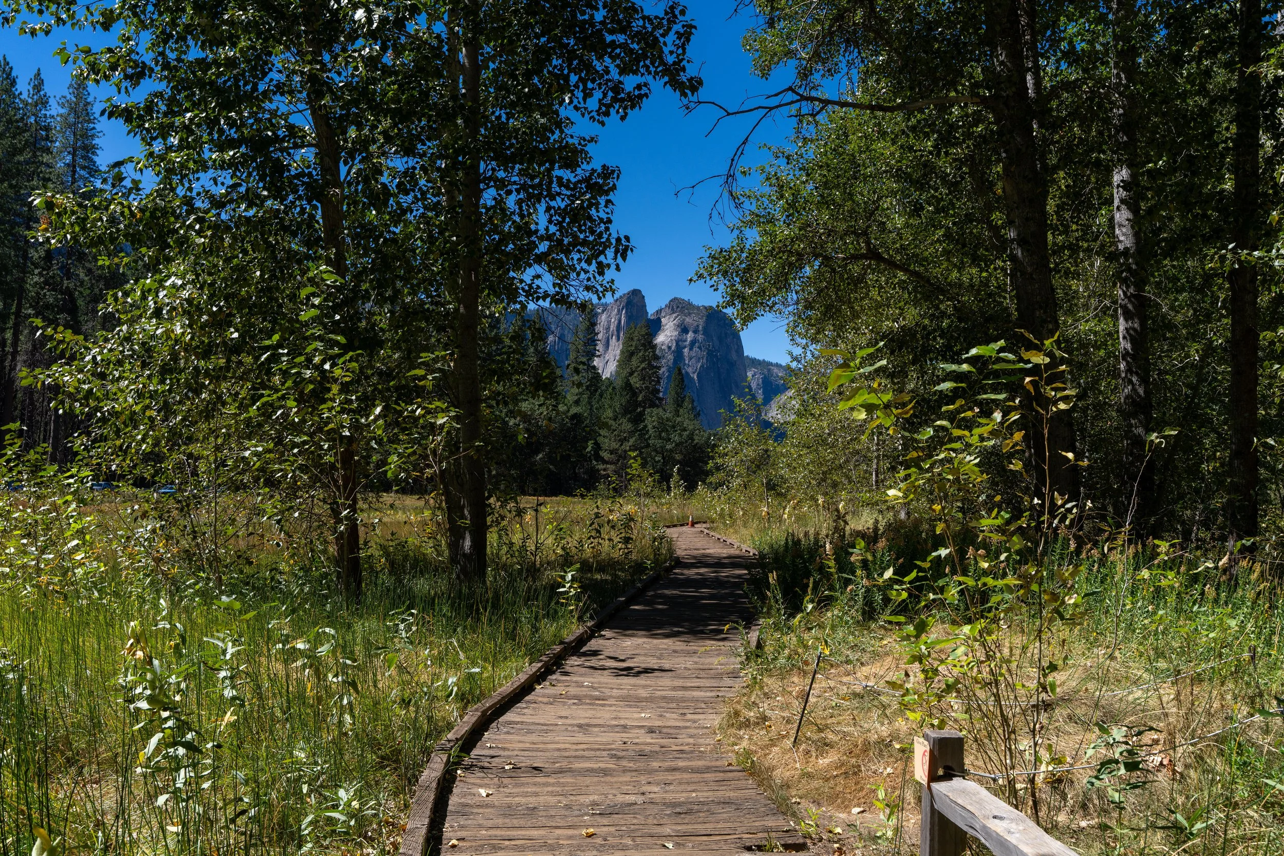 Yosemite-104.jpg
