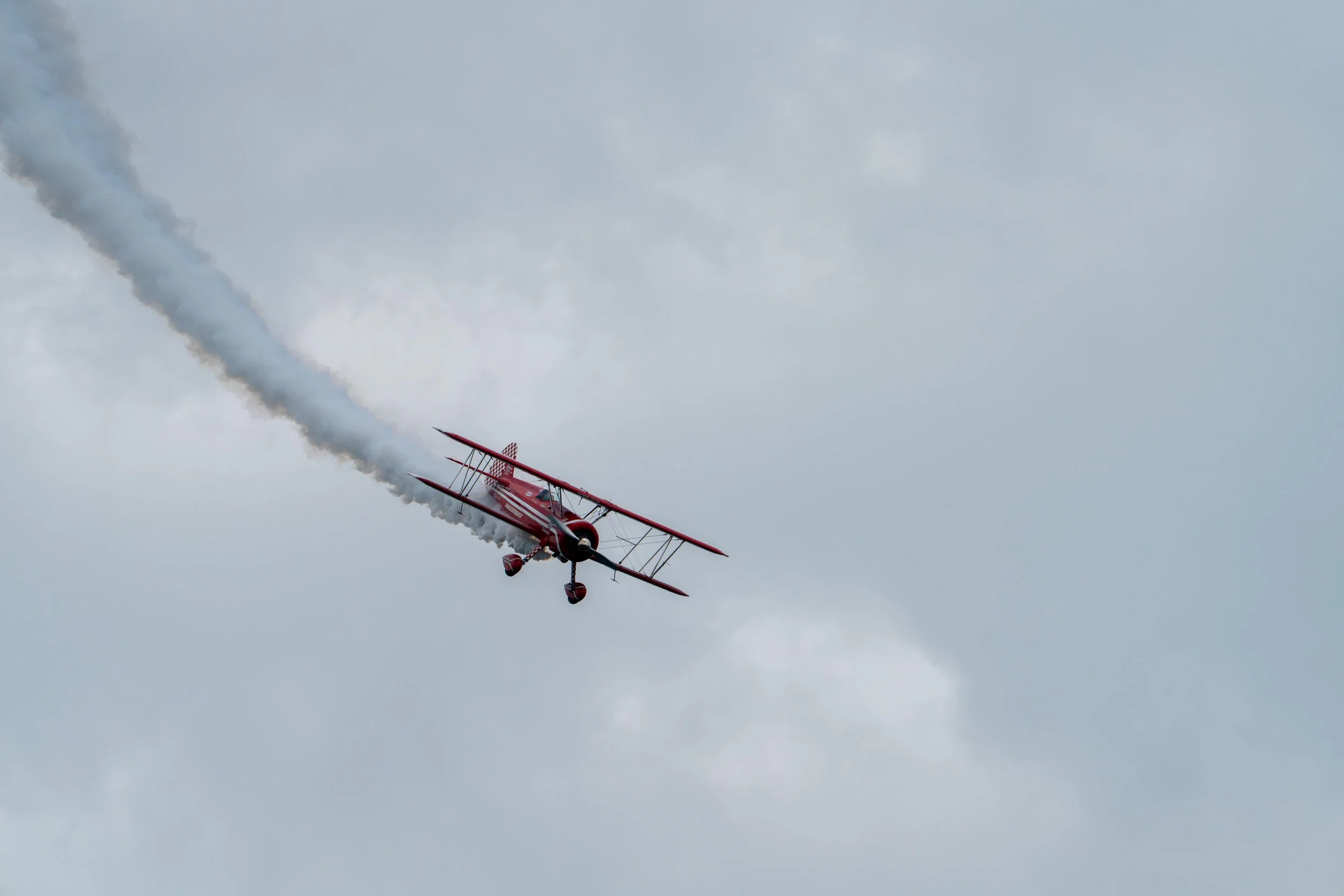 Chicago-A&W-Show-compressed-2026-24.jpg