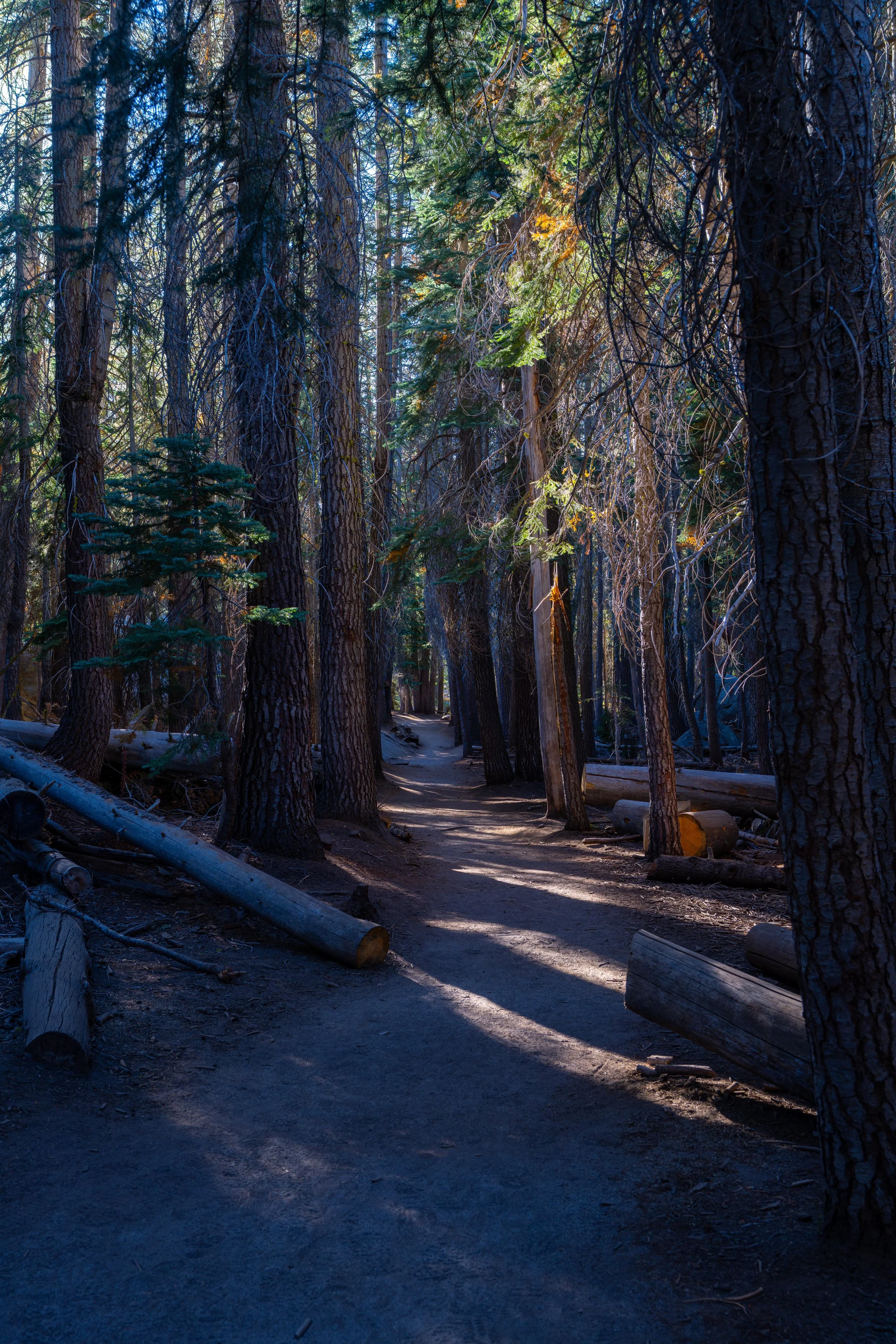 Yosemite-110.jpg