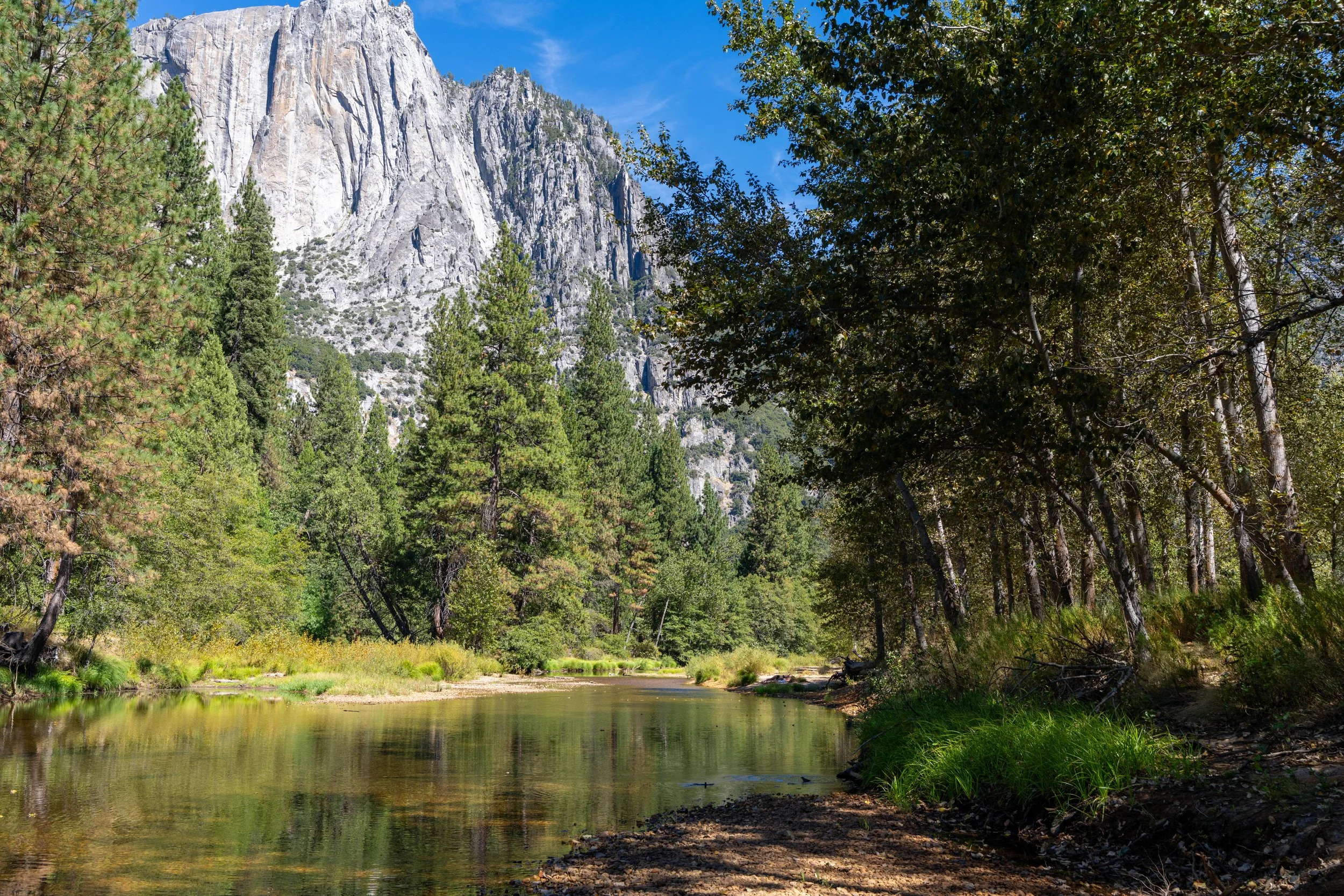 Yosemite-106.jpg