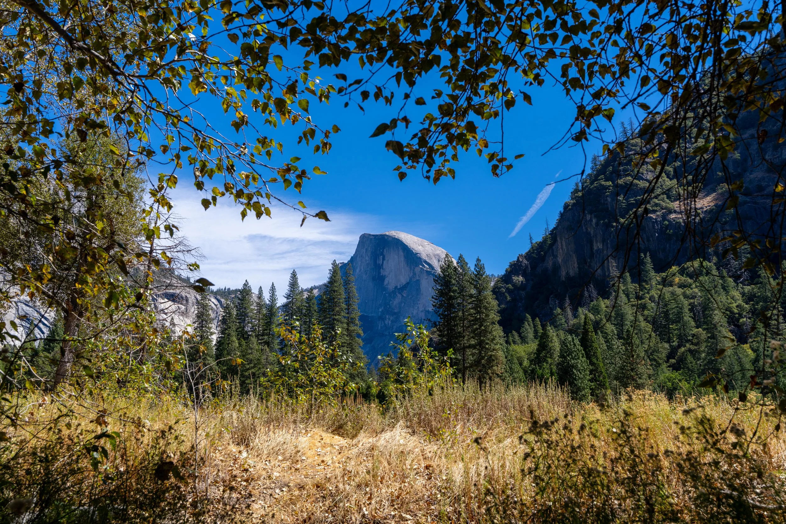 Yosemite-108.jpg