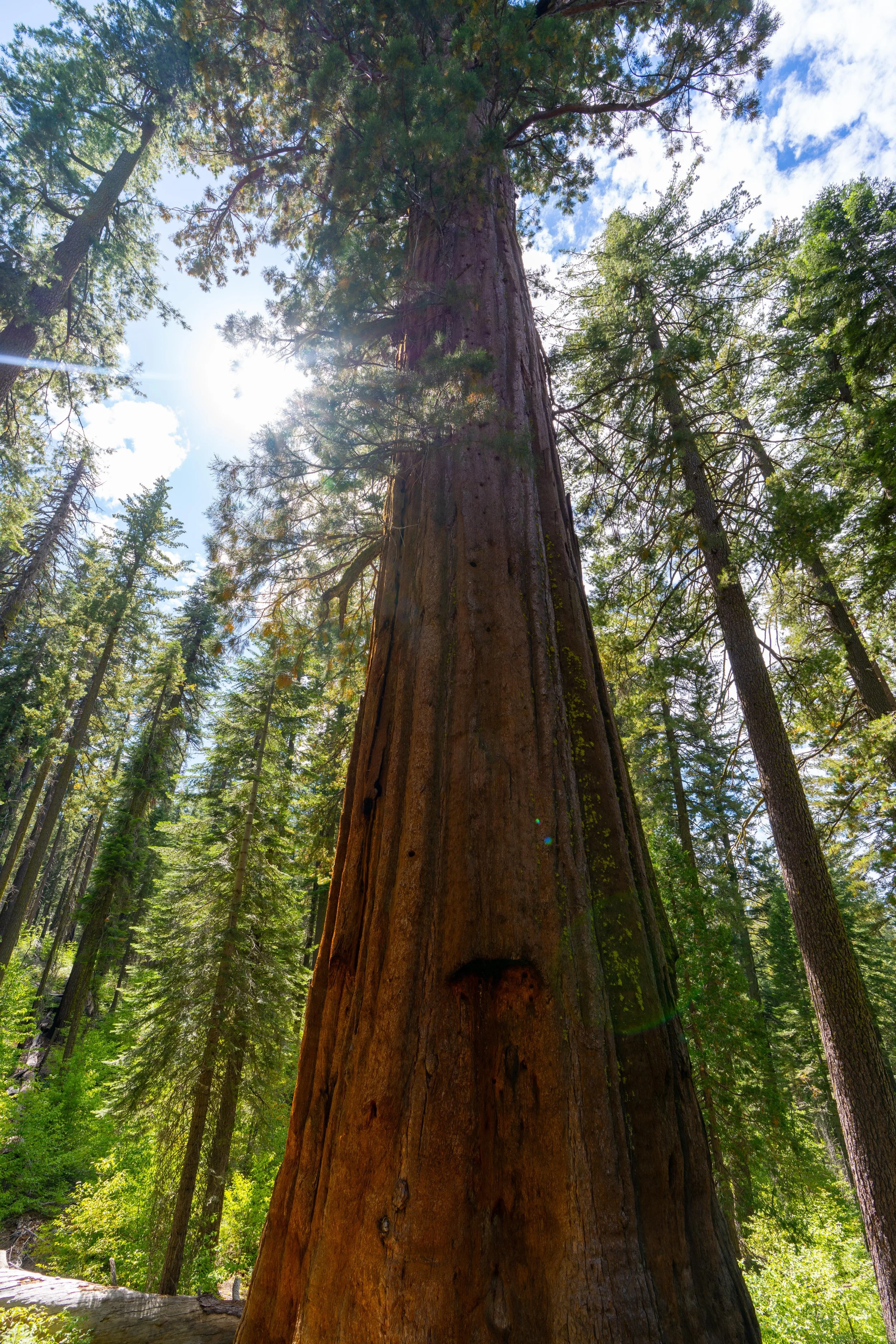 Yosemite-093.jpg