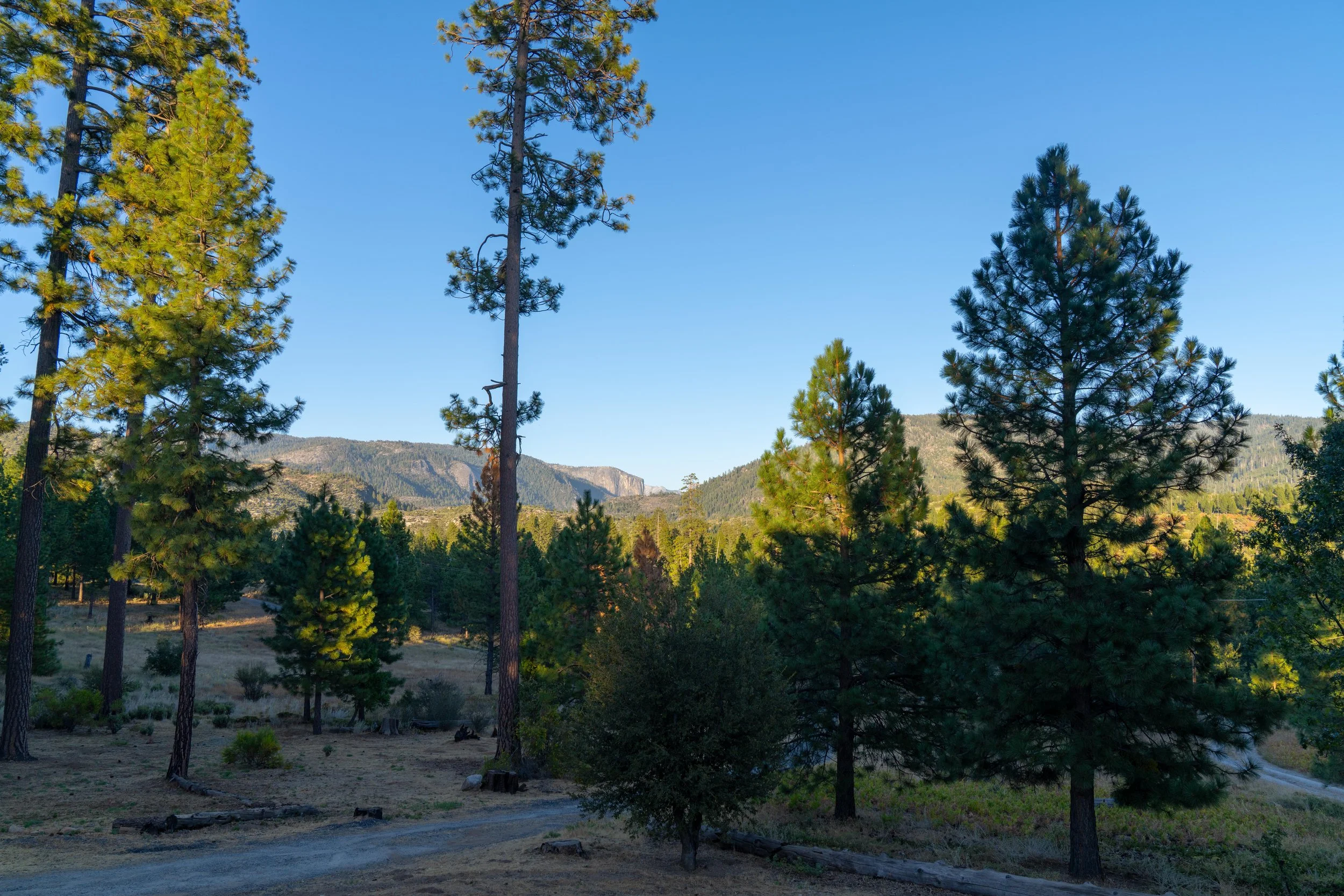 Yosemite-076.jpg