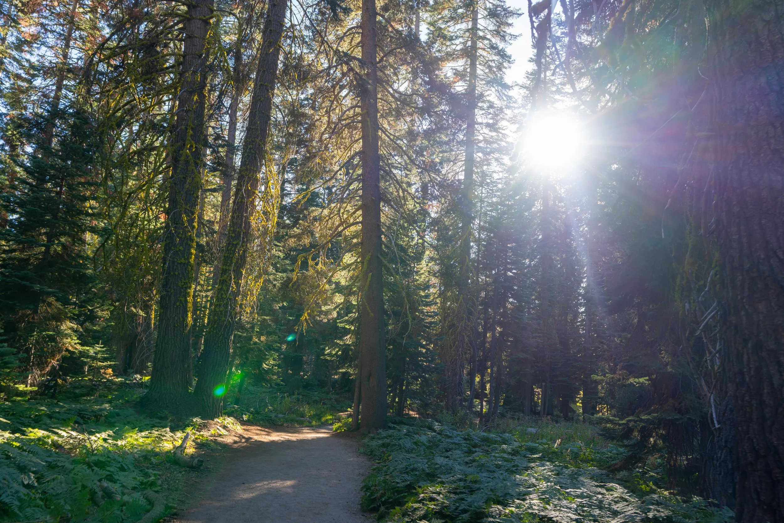 Yosemite-112.jpg