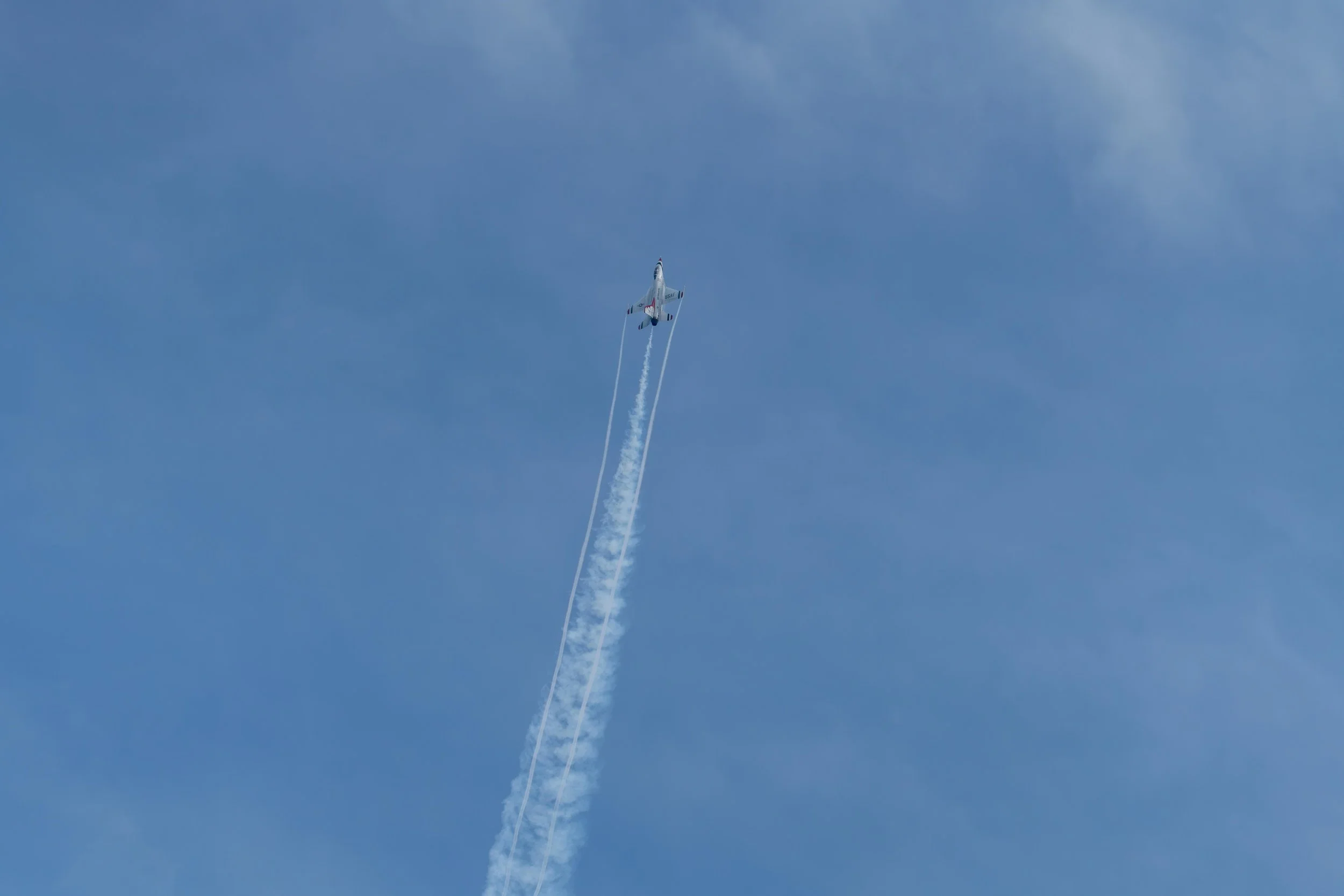 Chicago-A&W-Show-compressed-2026-11.jpg