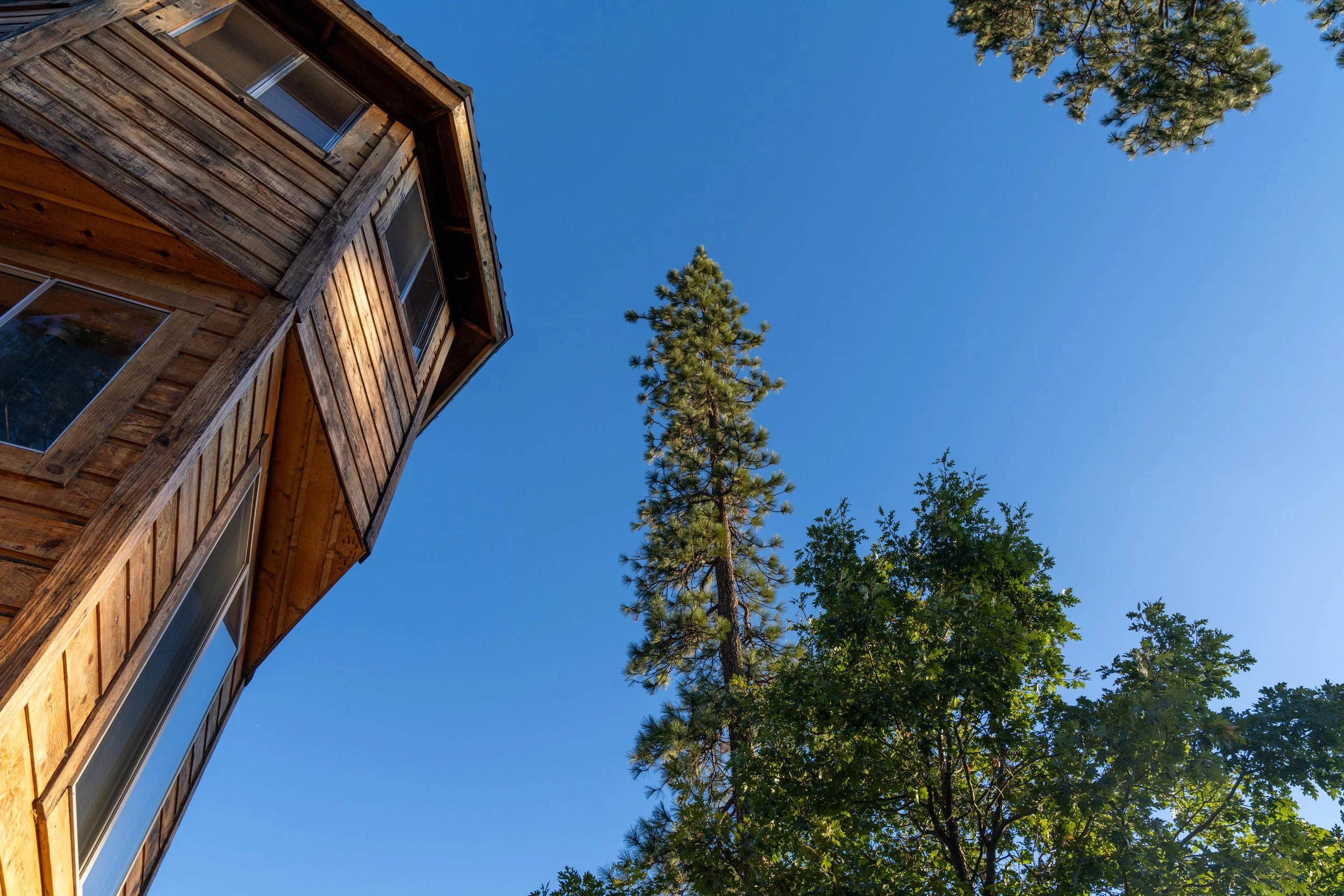 Yosemite-073.jpg