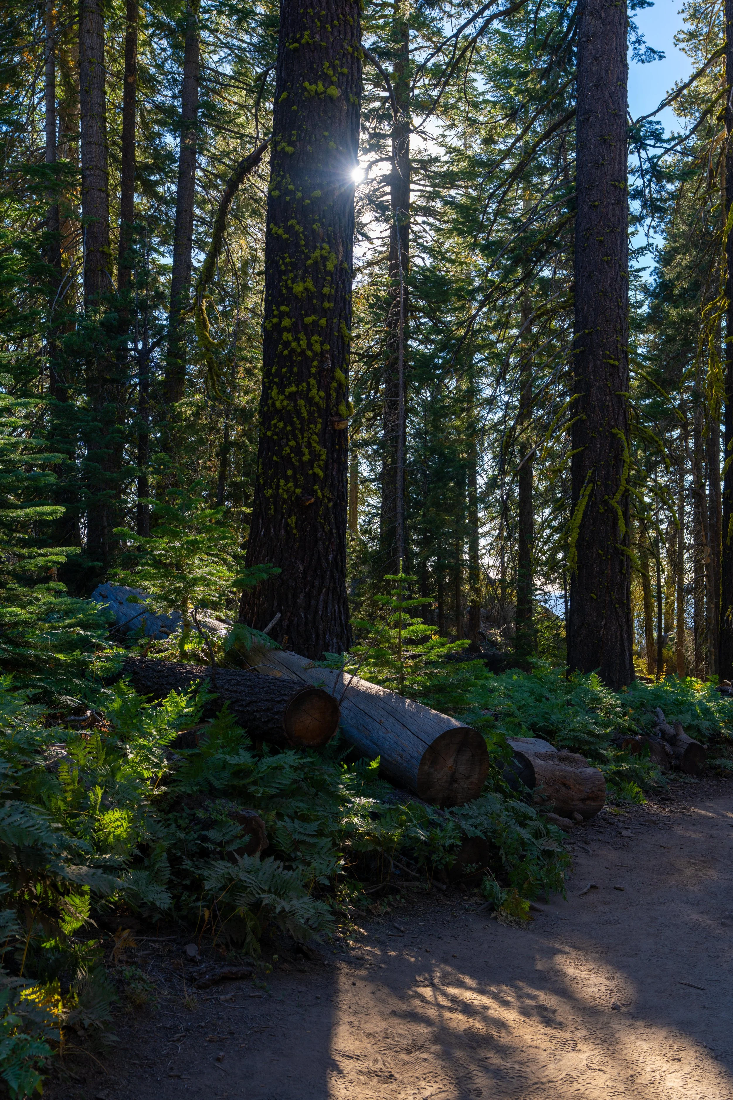 Yosemite-113.jpg