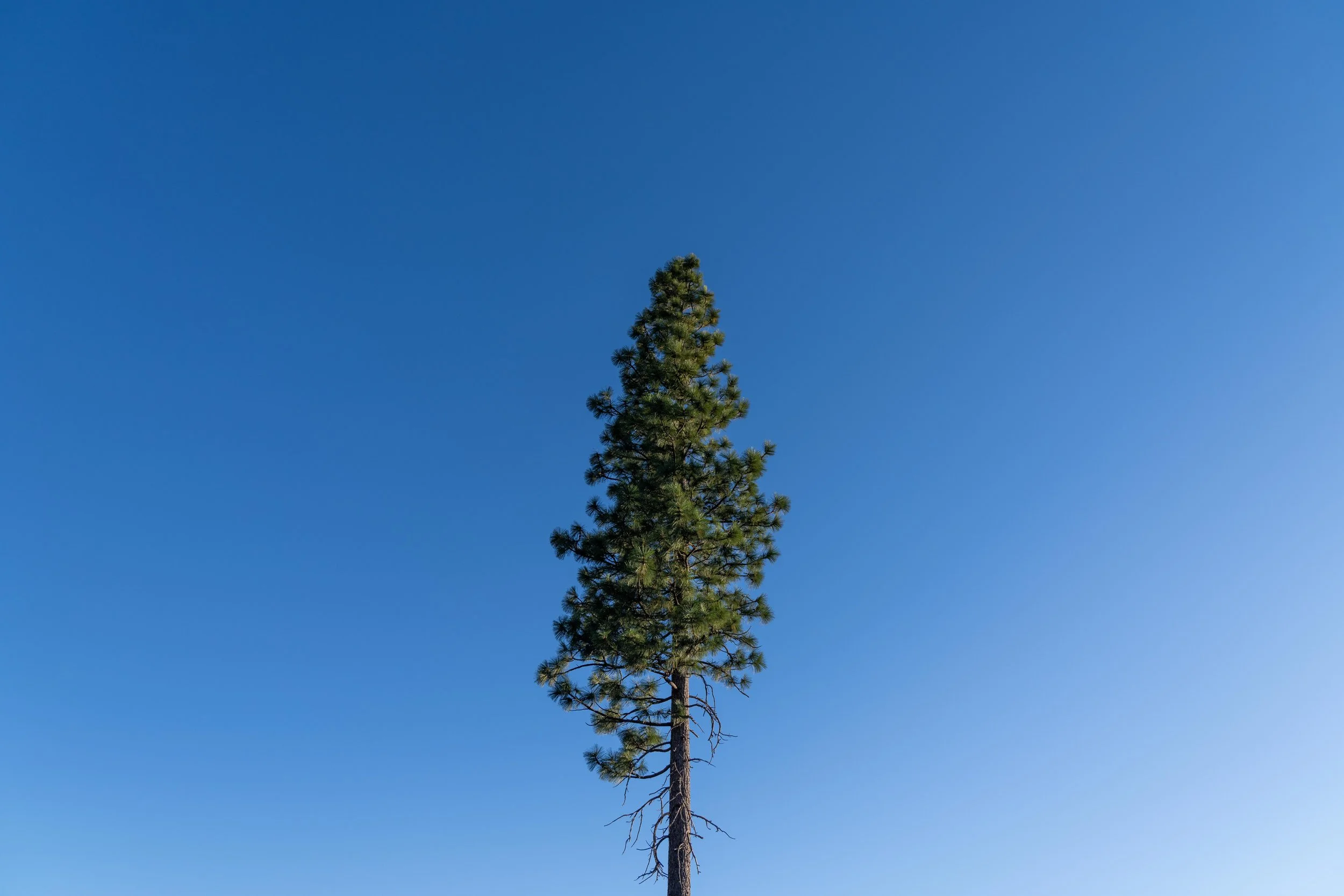 Yosemite-061.jpg