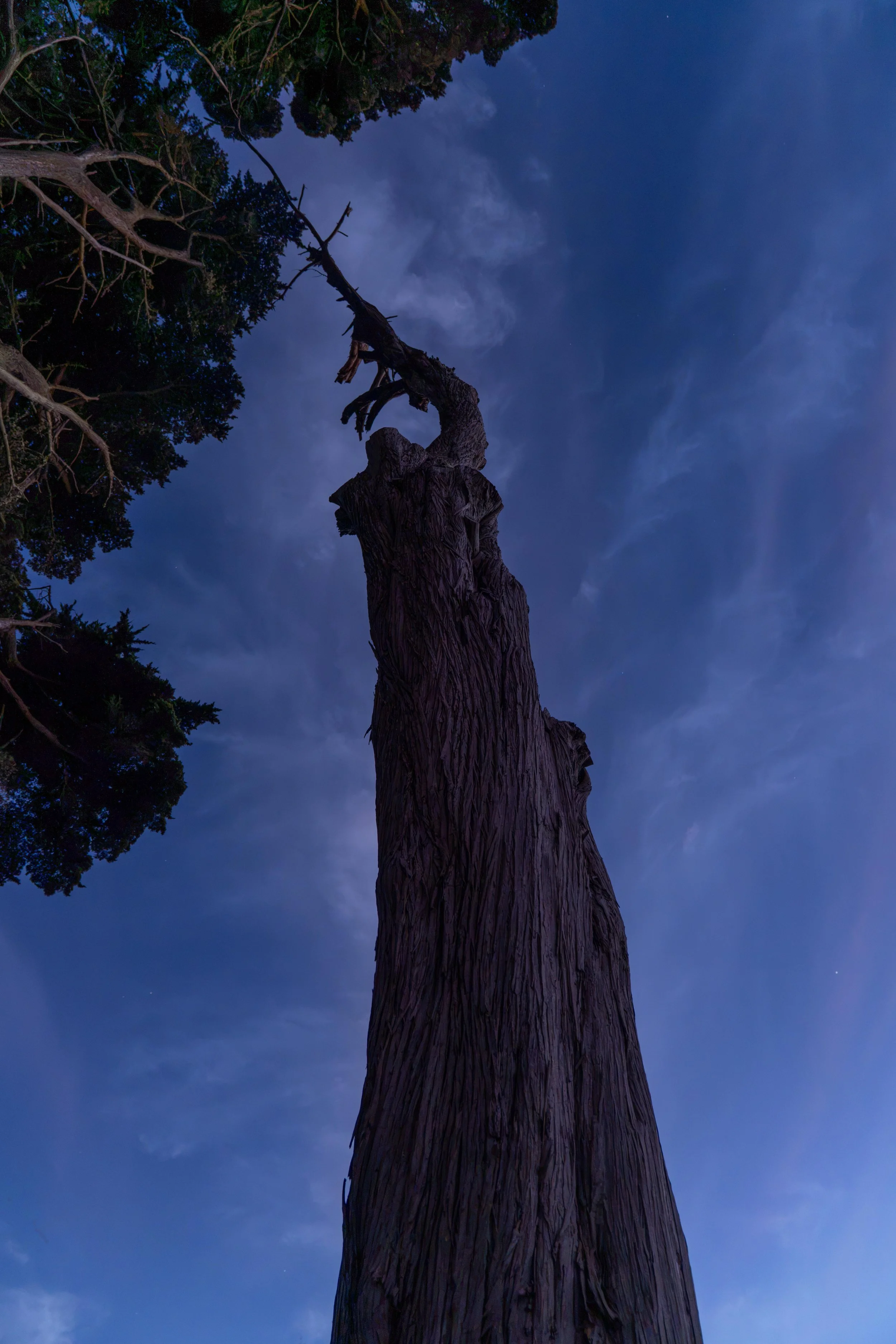 Yosemite-038.jpg