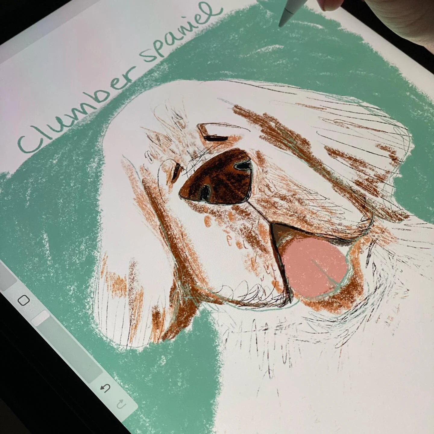 @dogsinaugust #doggust2022 #clumberspaniel #clumberspanielsofinstagram  #clumberspaniels #cutedogs #fluffy #fluffyspaniel #spanielsofinstagram #spanielsofinsta #doglovers #doglover #dogsofinstagram #dogs #dogoftheday #dogdrawings #petportraits #cutie