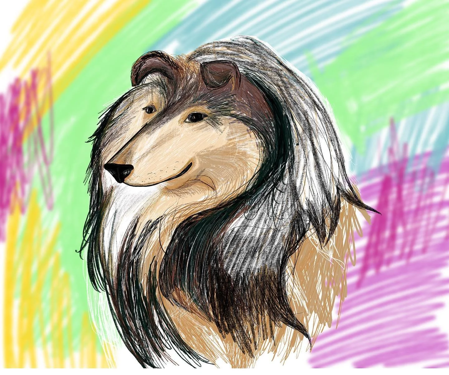 @dogsinaugust #shetlandsheepdog_feature #shetland #shetlandsheepdog #sheepdog #dogswithmanes #beautifuldog #beautifuldogsofinstagram #dogsofinstagram #dogsofinsta #doglover #dogoftheday #dogstagram #dogart #dogartwork #petstagram #petportrait #petpor