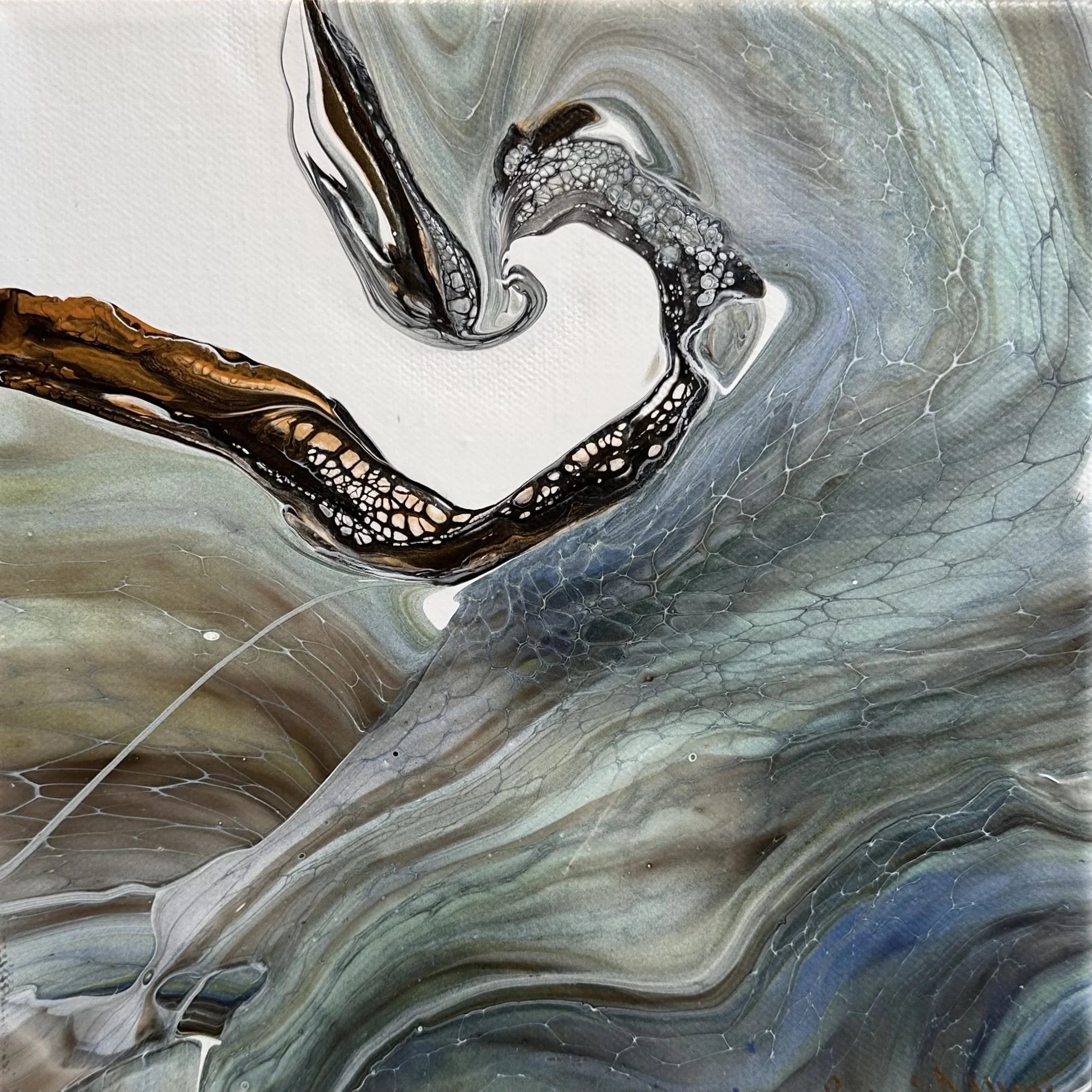 Medium square - 1.jpg