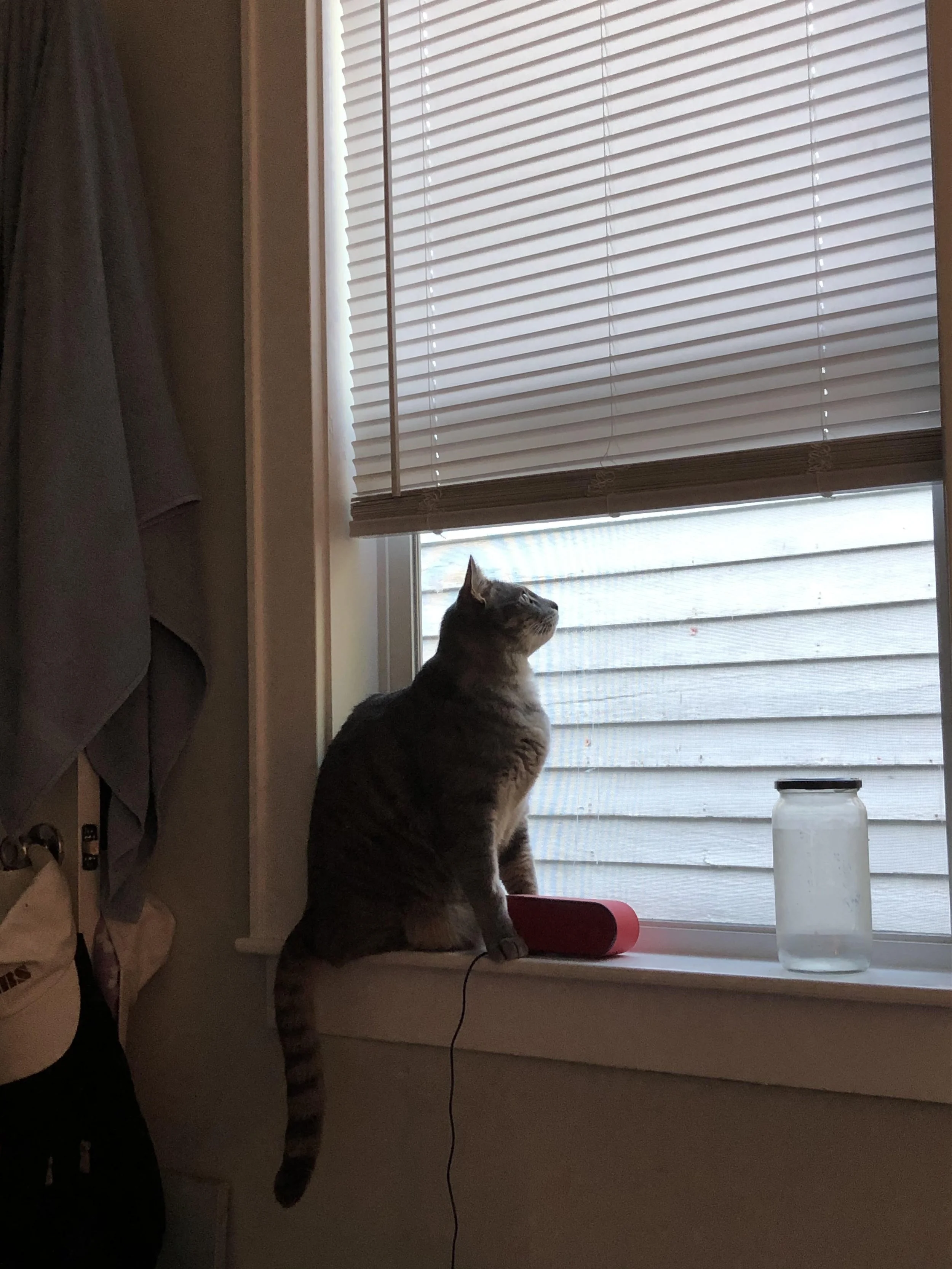 Your Heart: My Sleeve