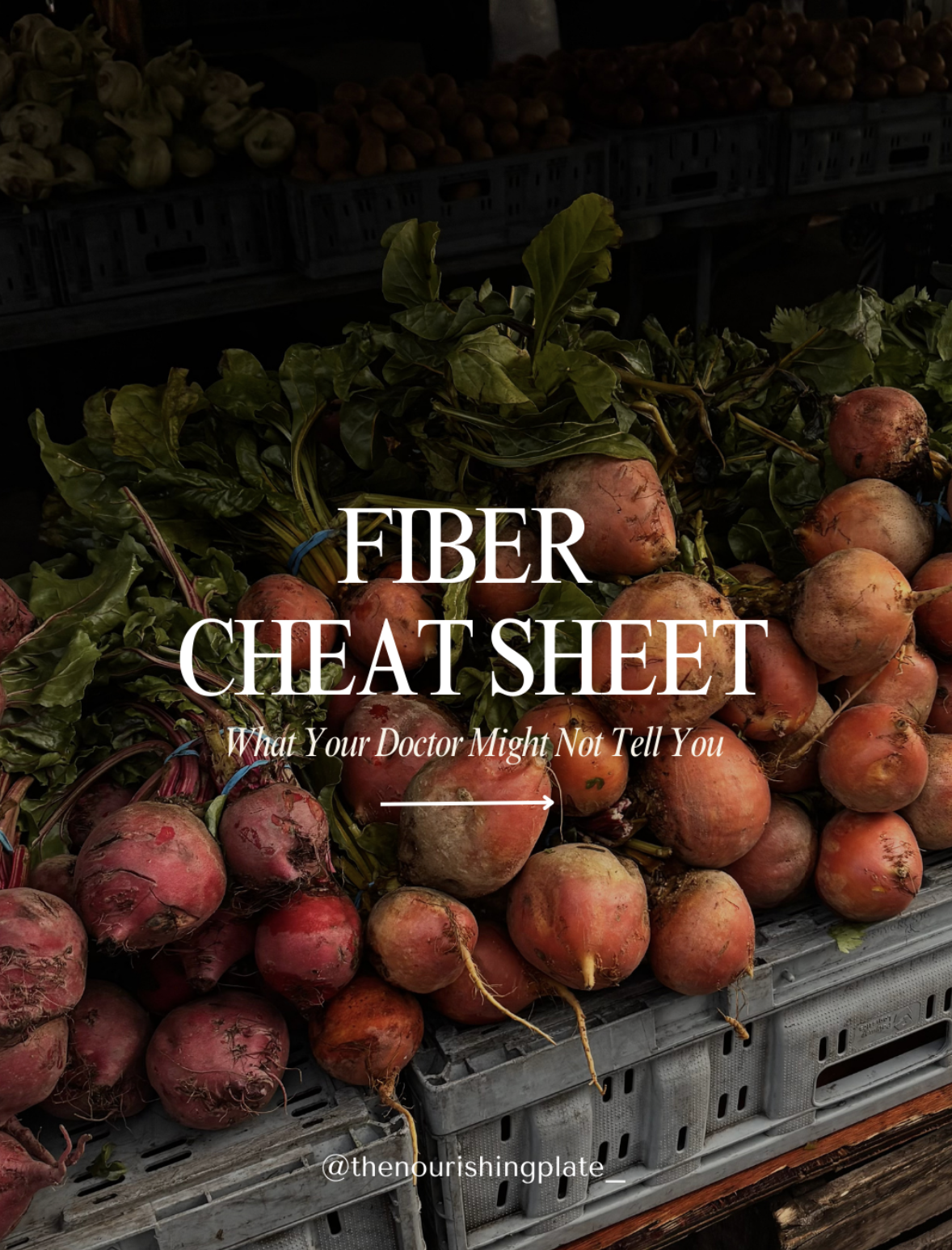Fiber Guide