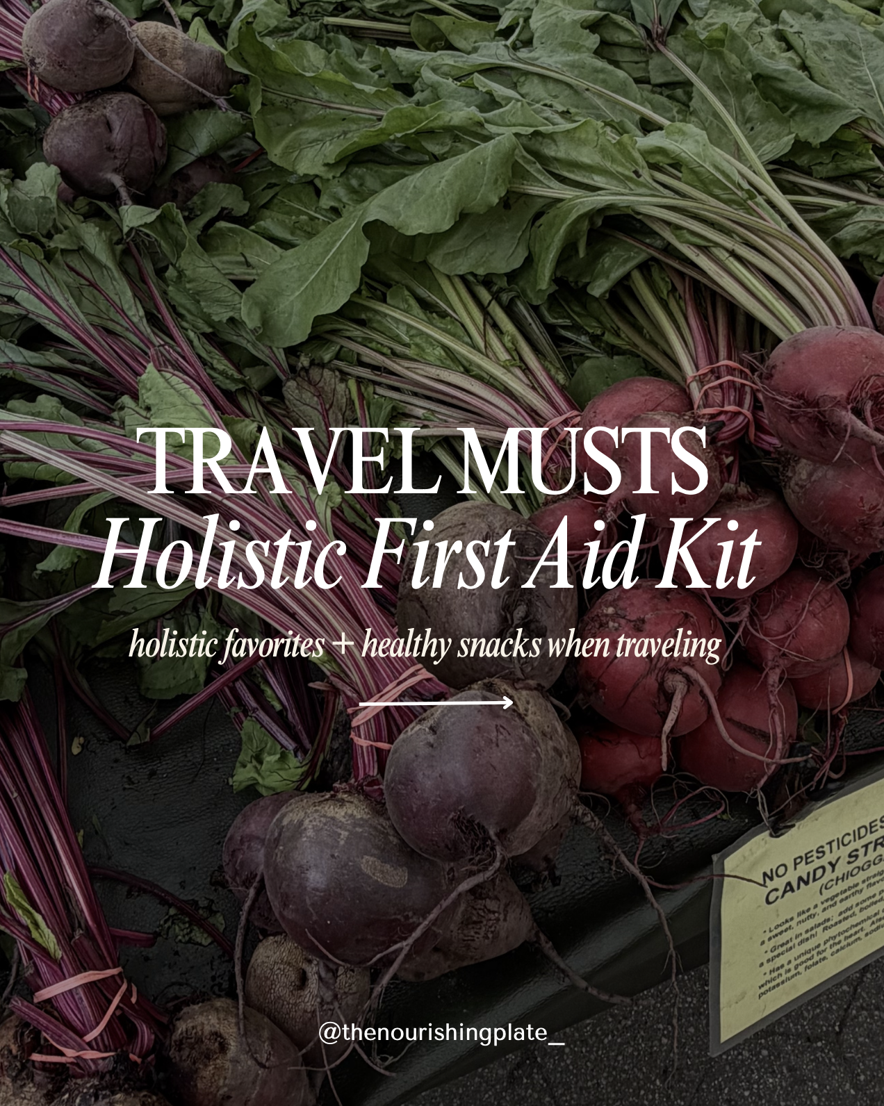 Travel First Aid Kit Guide