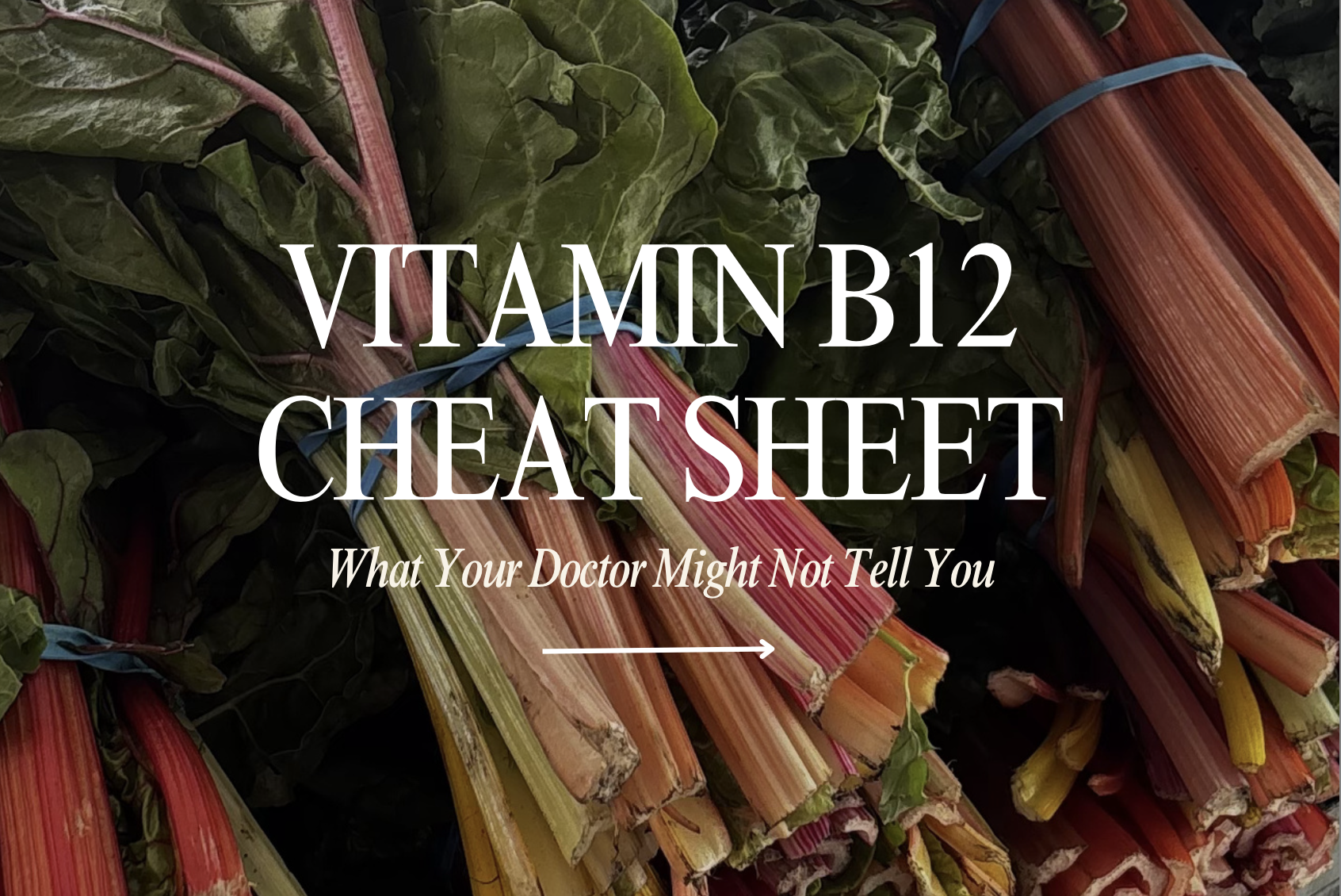 B 12 Cheat Sheet