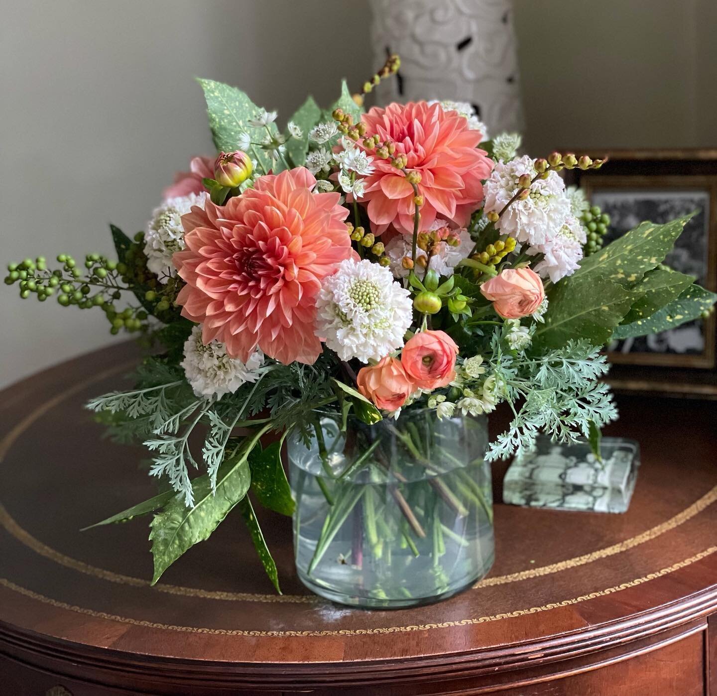 I just added a new adult evening class to the website! Sign up now for The Art of Floral Design with Carter Dawson, September 14, 6:30-8:30 PM. 🔗 in bio. 

#nashvillefloralworkshop