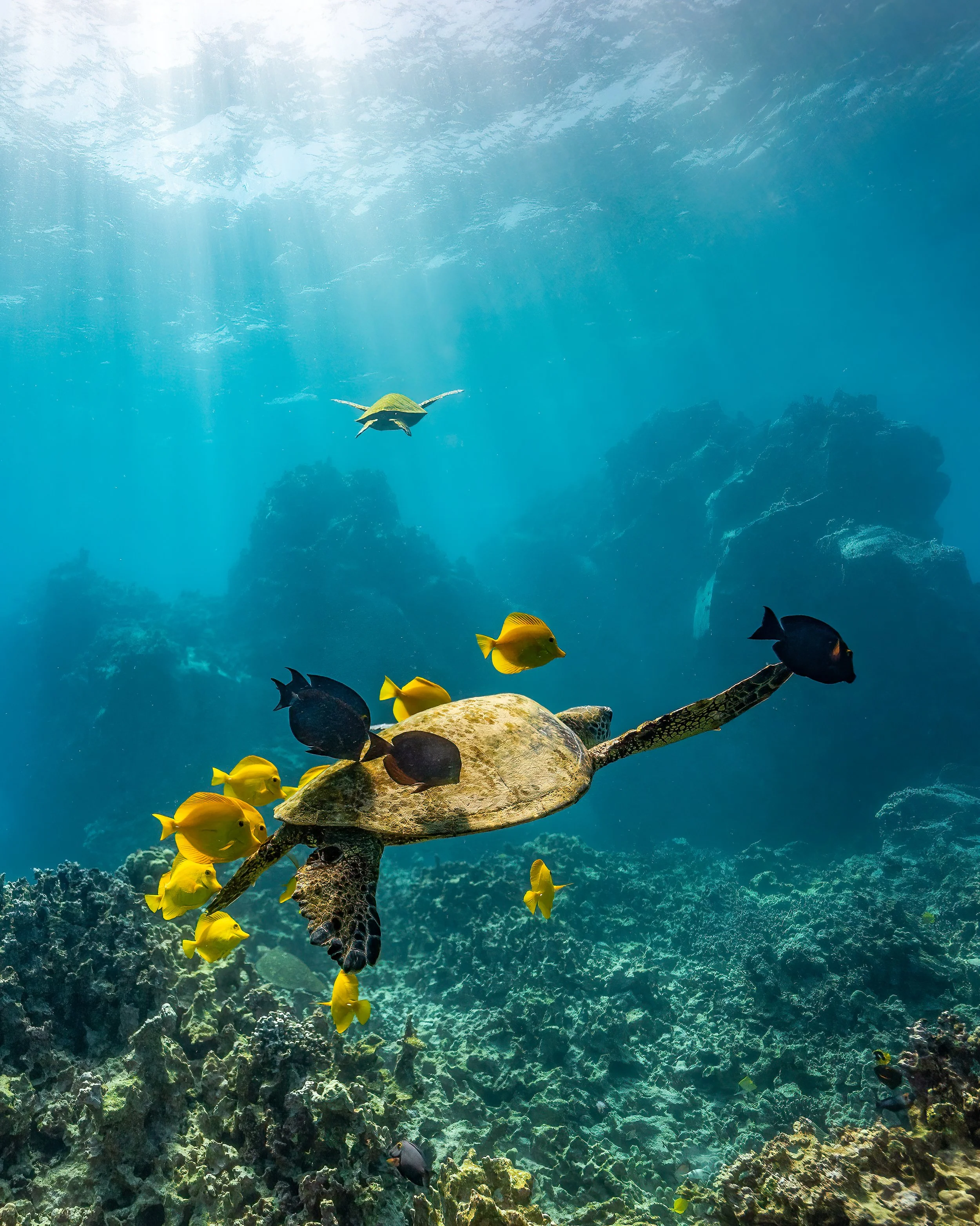 Puako Cleaning Station.jpg