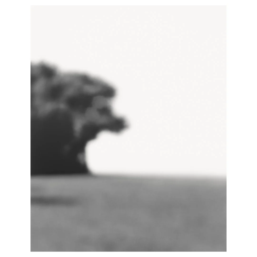 Bill Jacobson | when is a place