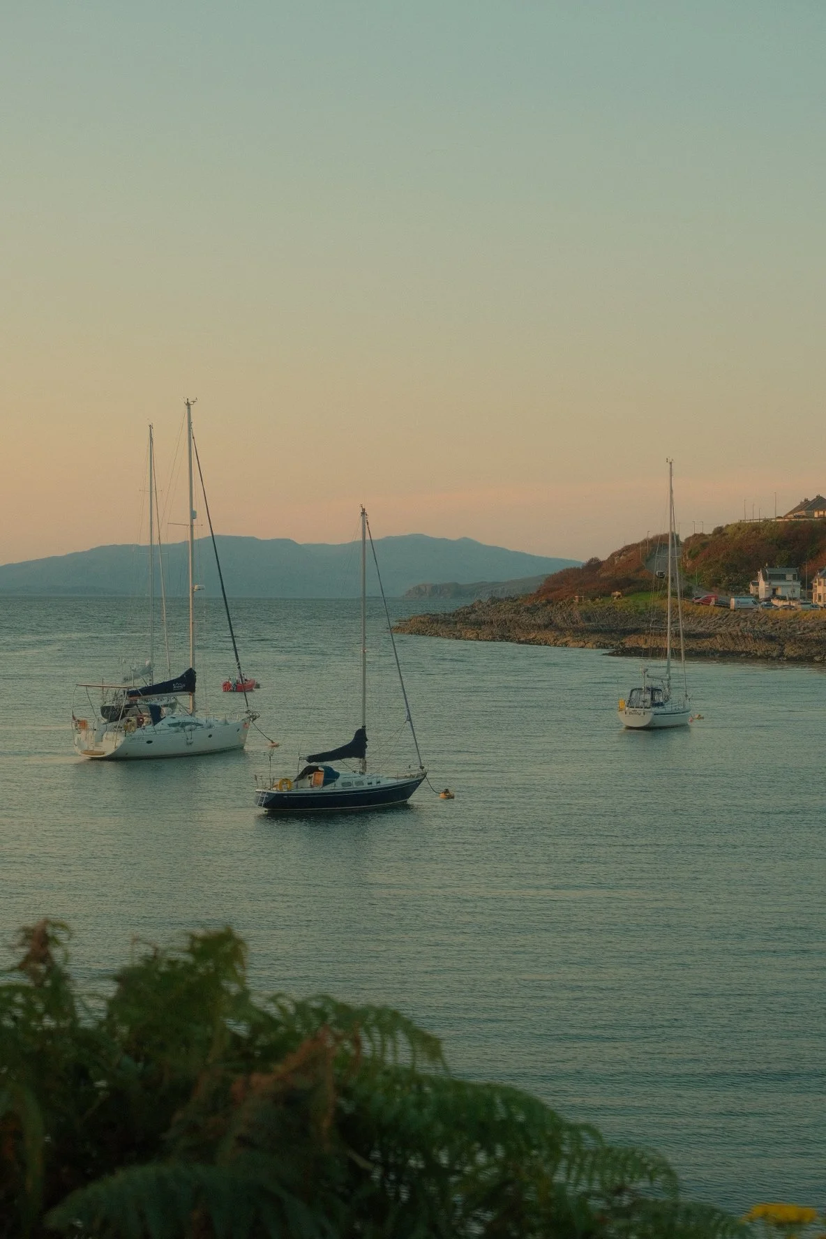 Thinking of Home | Wardah Bilal