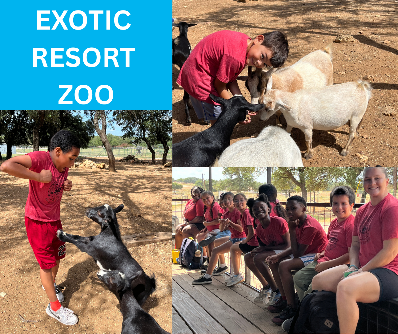 Exotic Resort Zoo.png