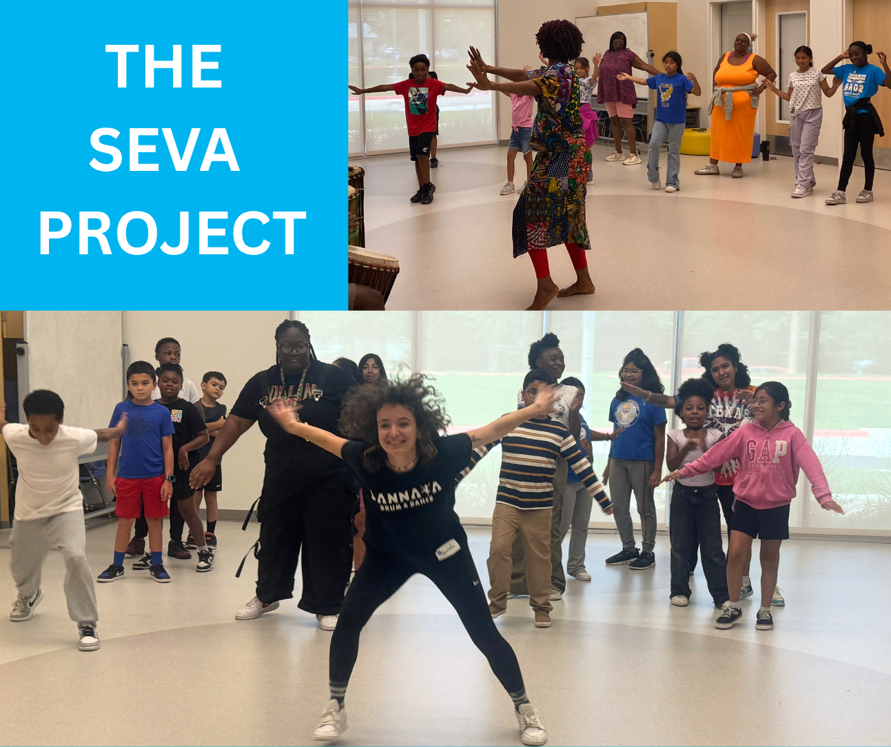The Seva Project.png