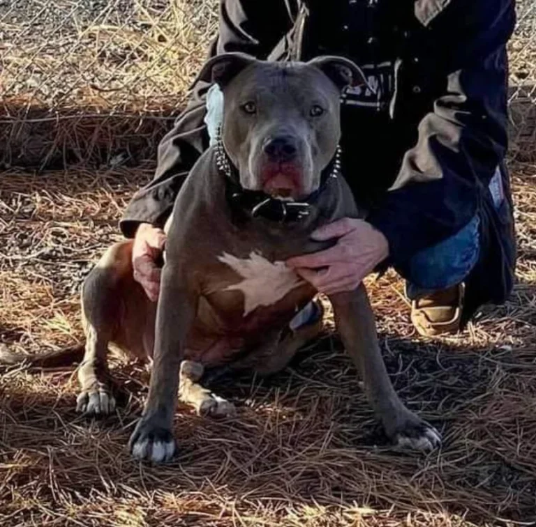 $2.25MM Verdict - Gray v Grant County