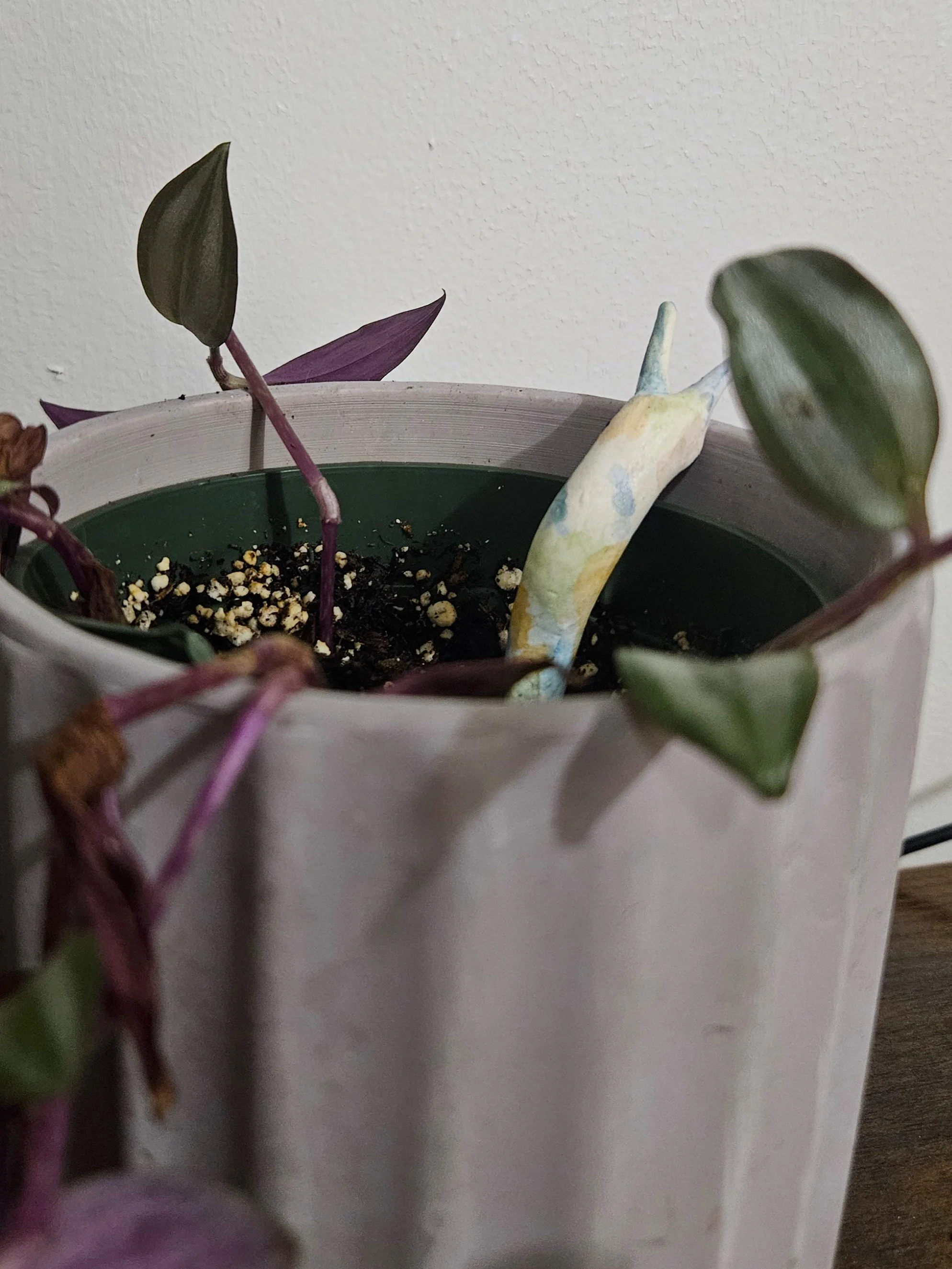 20260914_195812.jpg
