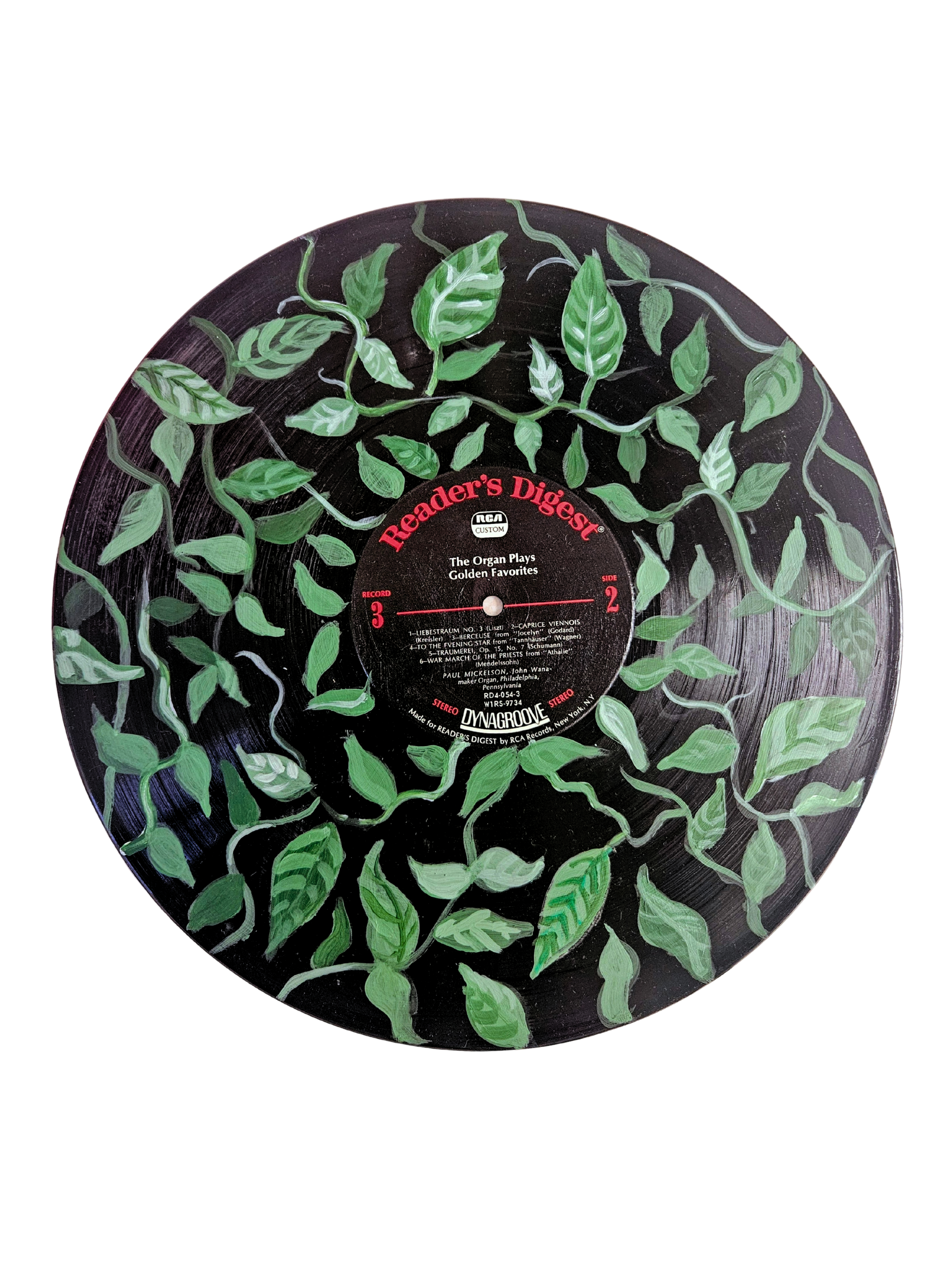 Foliage Painted Vinyl Record