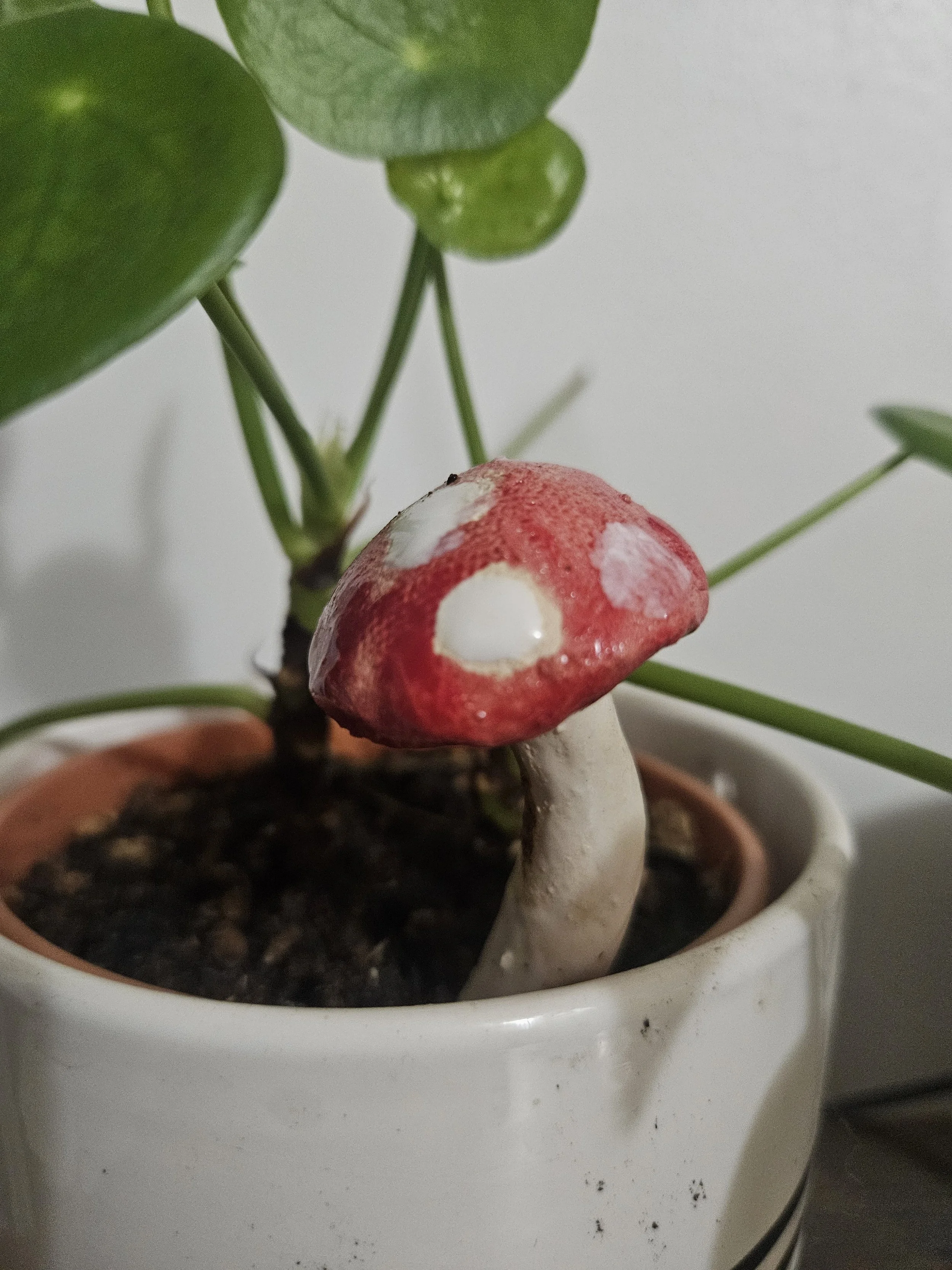 Ceramic Mushroom