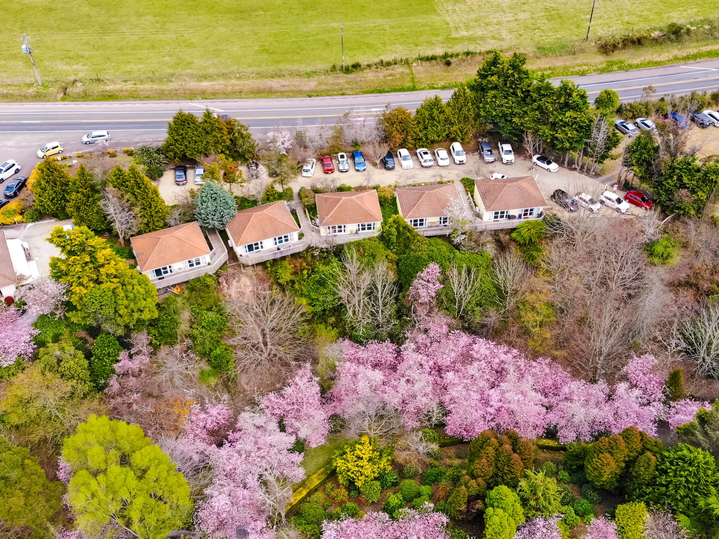 Blossom Valley