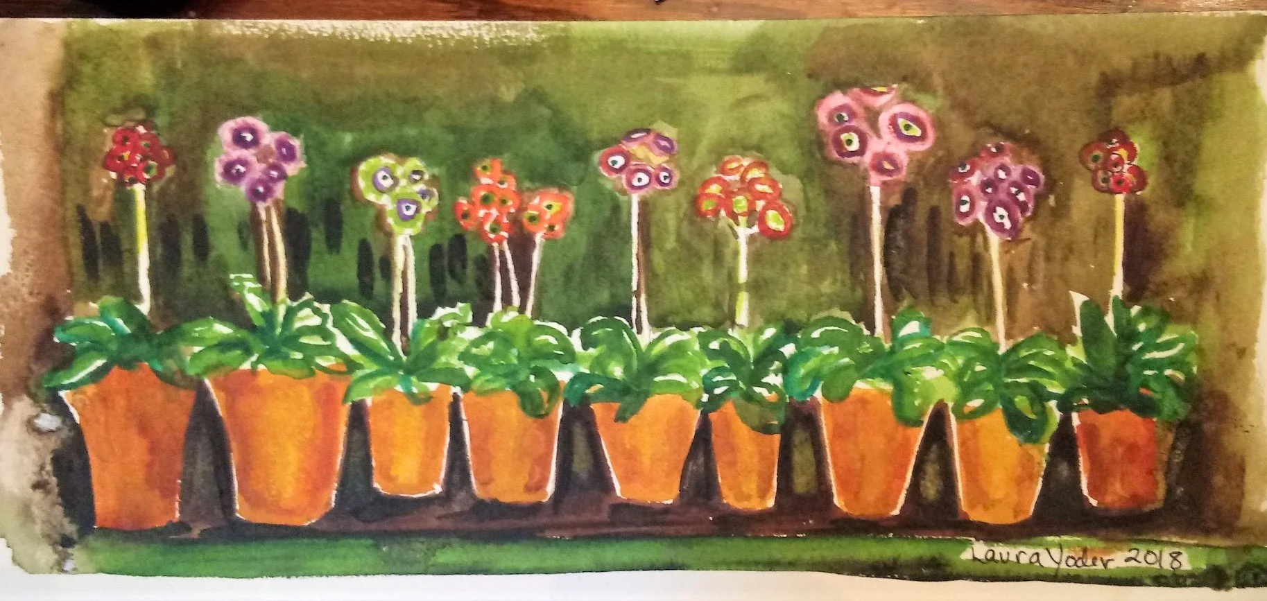 watercolor painting with garden shelf of potted ranunculus flowers