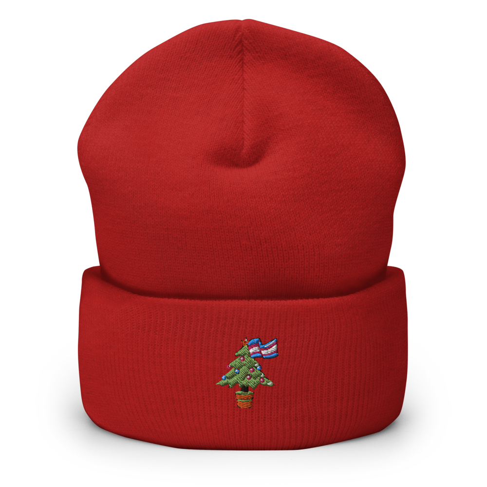 cuffed-beanie-red-front-6180a9c04d45b.png