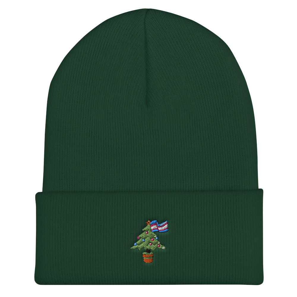 cuffed-beanie-spruce-front-6180a9c04d54f.png