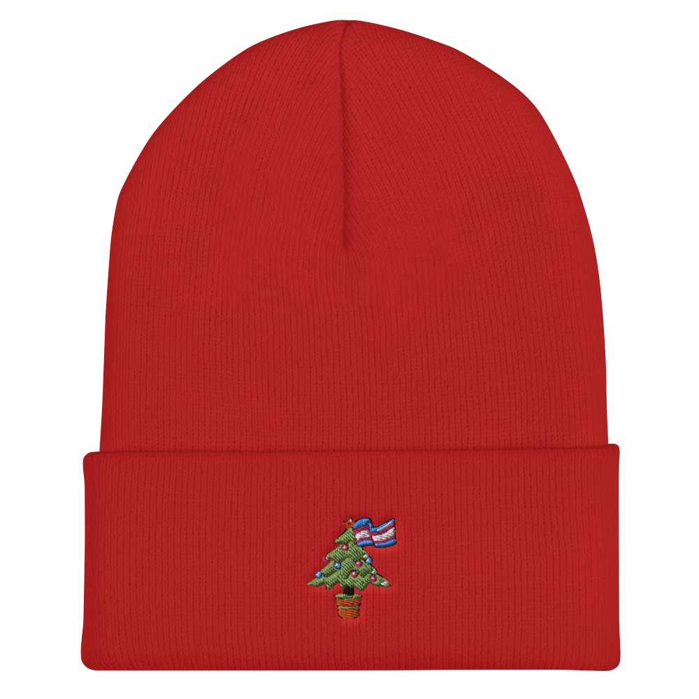 cuffed-beanie-red-front-6180a9c04d682.png