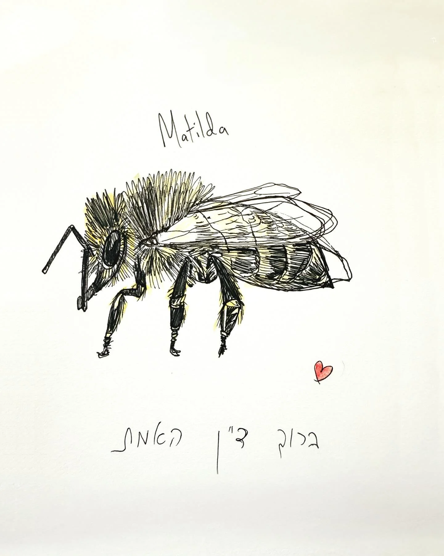 This is for 10 year old Matilda. Her family moved here from Ukraine and as their first child born in Australia, they excitedly gave her the name &lsquo;Matilda&rsquo;, because it was the most Australian name they could think of. Matilda&rsquo;s life 