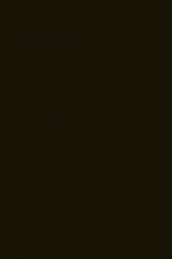 Silver_Party_4800kb_v002.gif