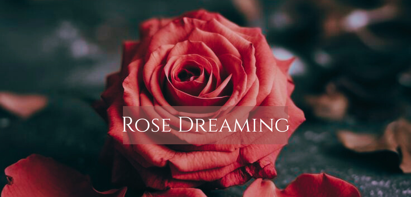 Rose Dreaming