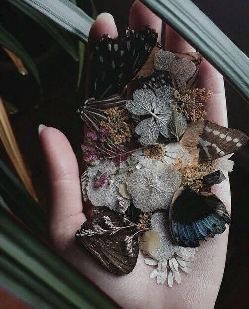 Path of the Mystic Medium