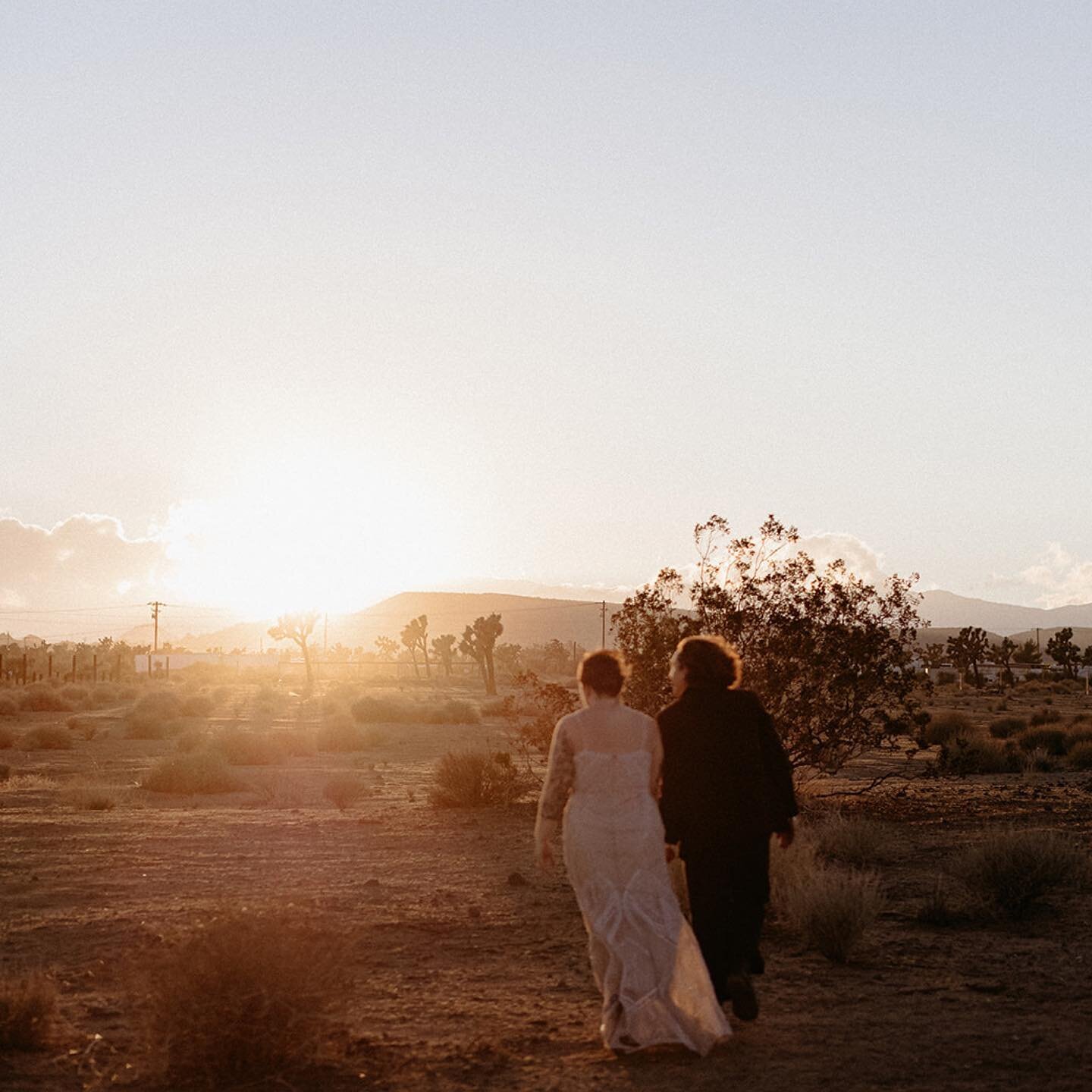 Two lovers elope in Joshua Tree ✨

I have never seen wind this intense and these two embraced the desert winds on their wedding day with open arms. Shout out to Amelia + Johnny! Real life rockstars. I loved frolicking in the desert with you two 🫶🏼