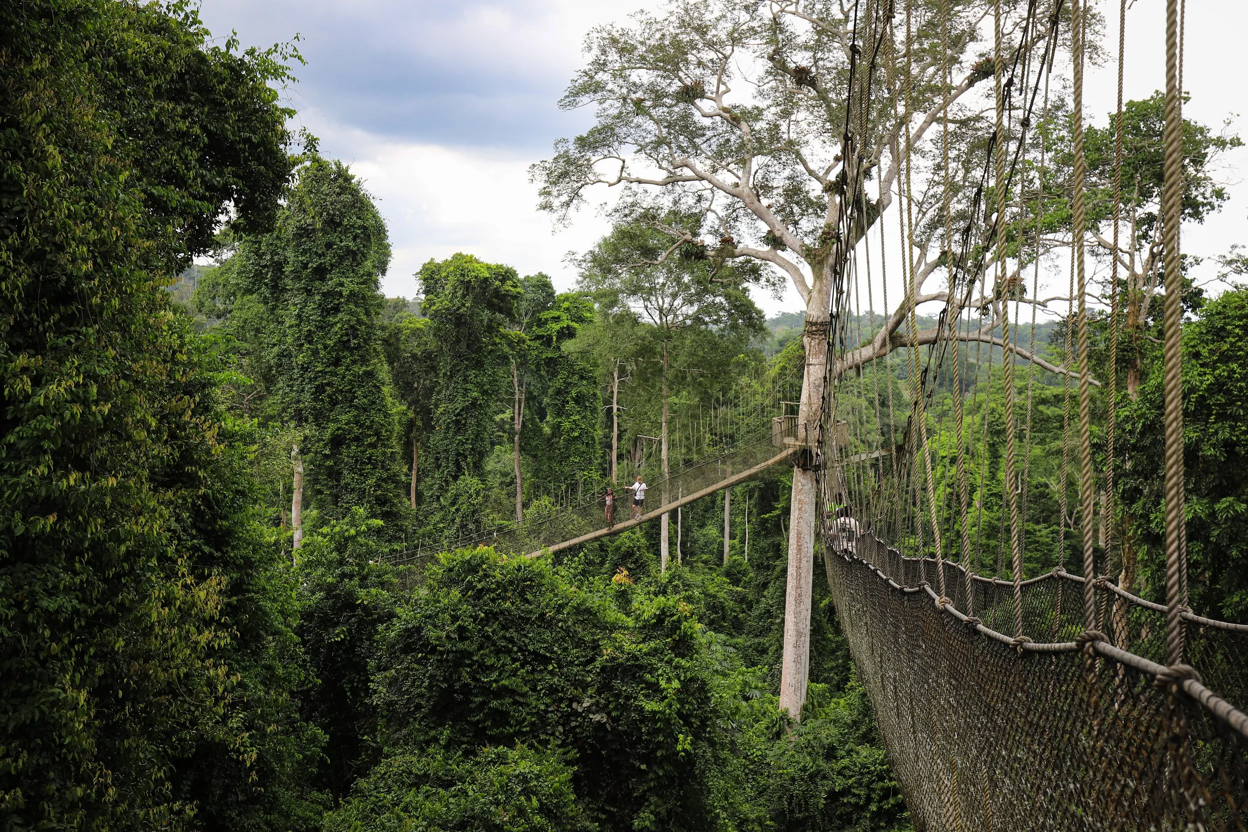 Kakum National Park, Ghana
