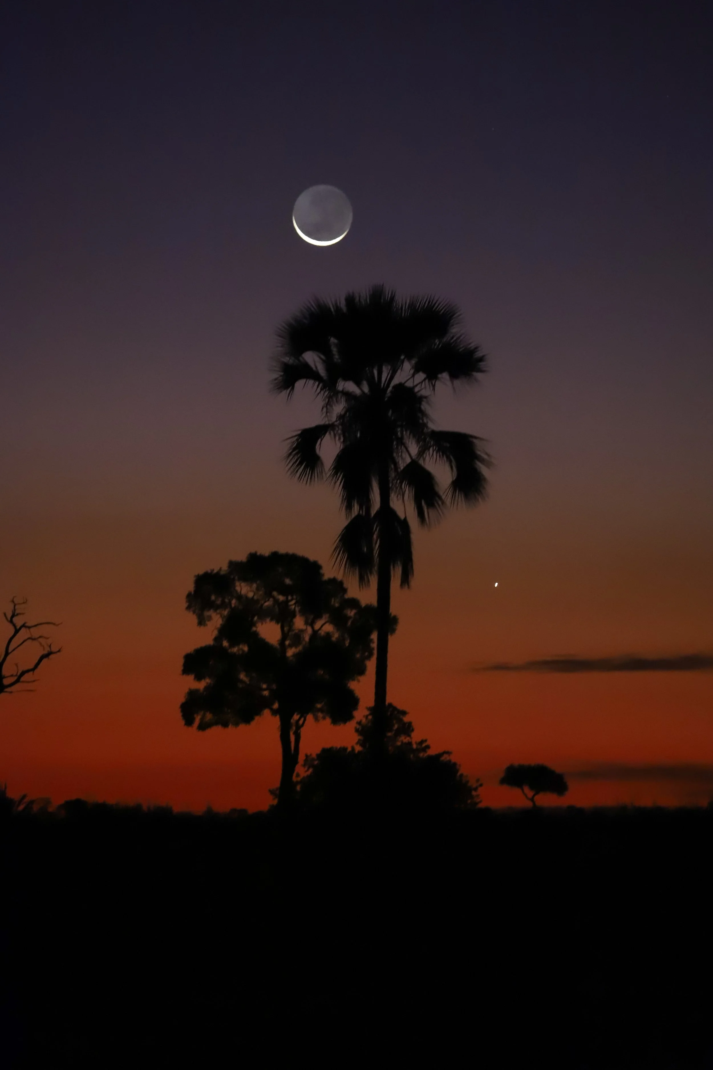 Moonrise, Okavango Delta, Botswana