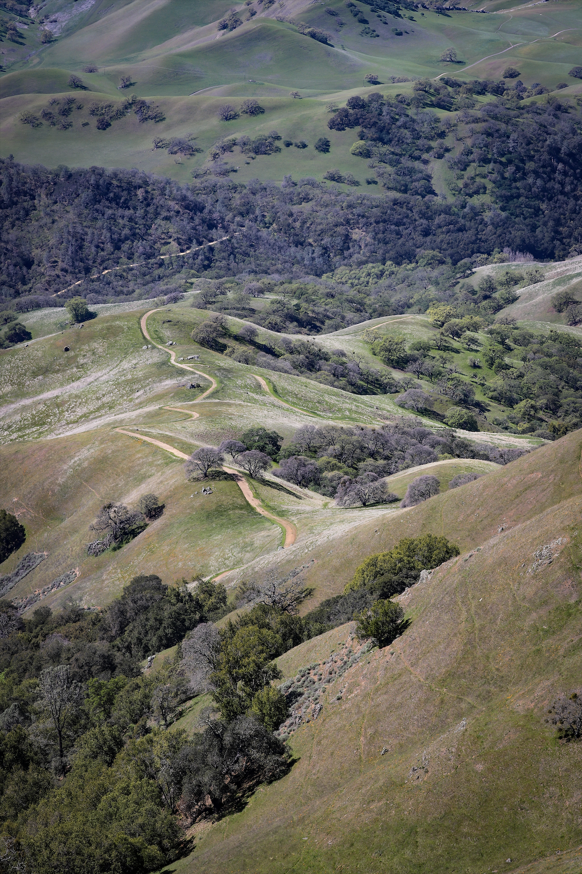 Mount Diablo State Park, California