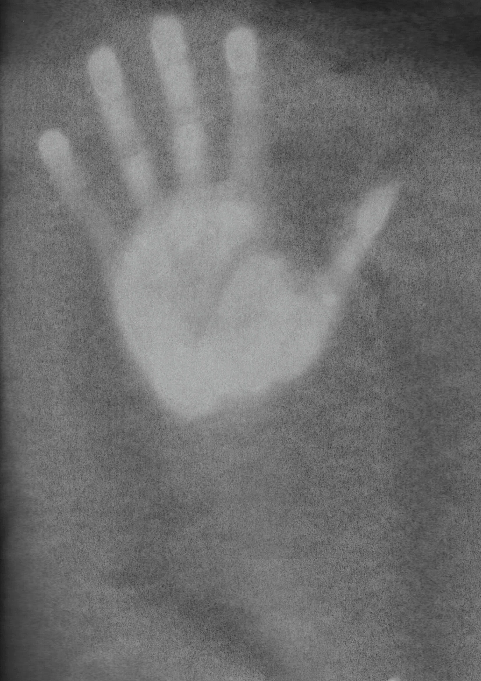 20201005_200059_0001 copy.jpg