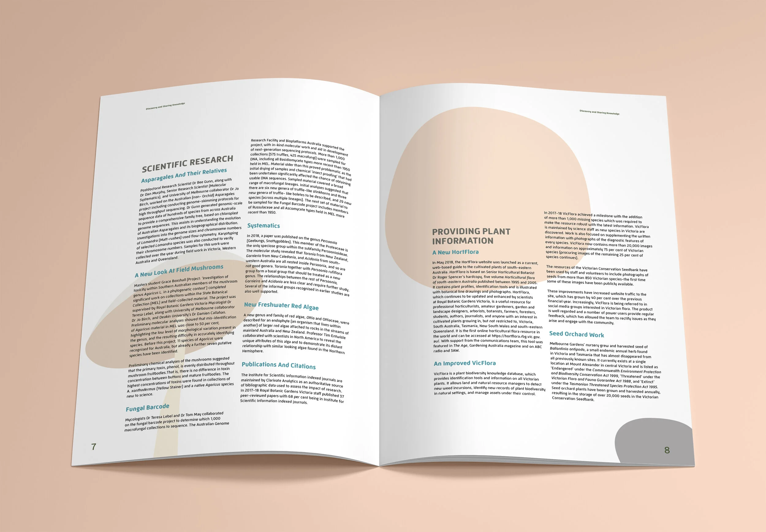 Mockup_A4_Brochure_7.jpg