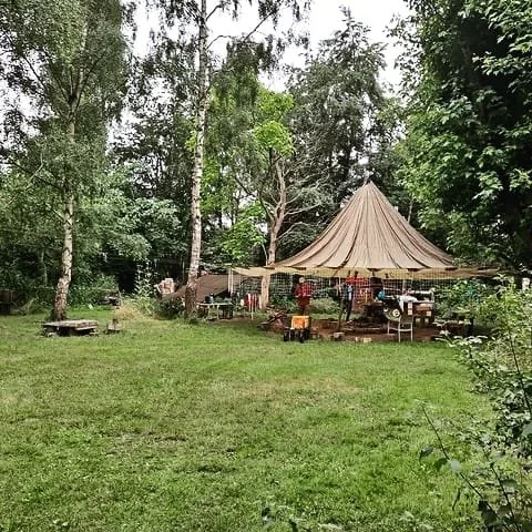 Women in the Woods