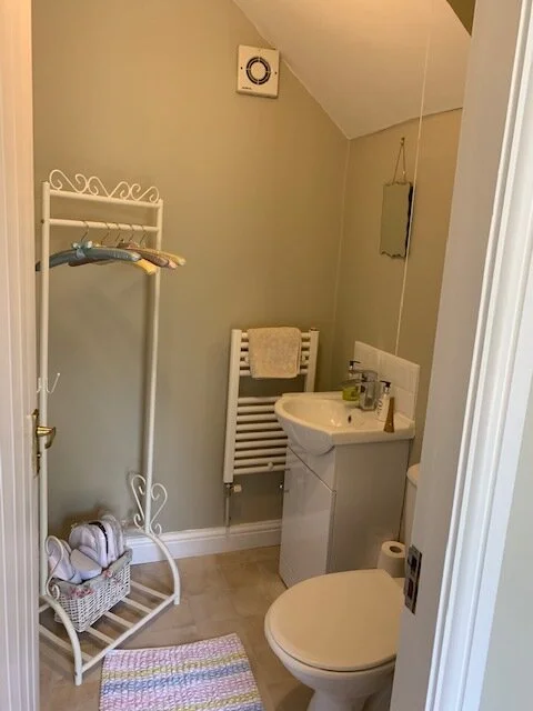 Downstairs loo and cloakroom